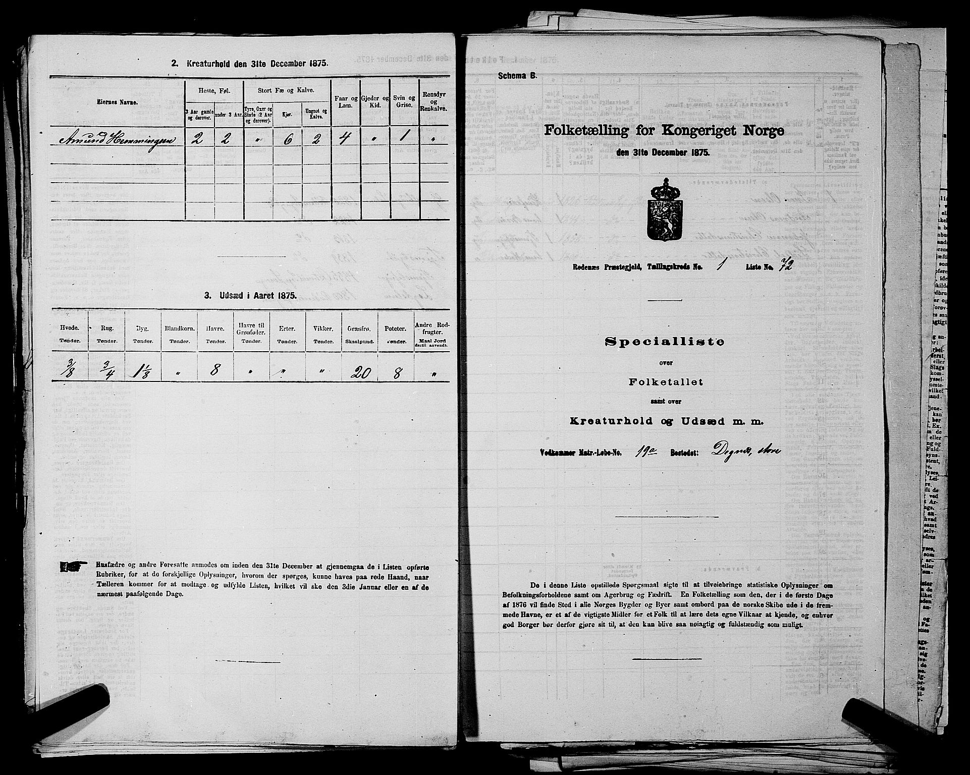 RA, 1875 census for 0120P Rødenes, 1875, p. 181