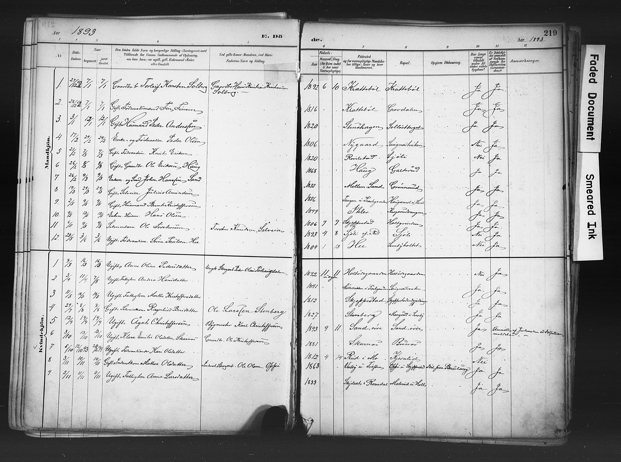 Nord-Odal prestekontor, AV/SAH-PREST-032/H/Ha/Haa/L0006: Parish register (official) no. 6, 1886-1901, p. 219