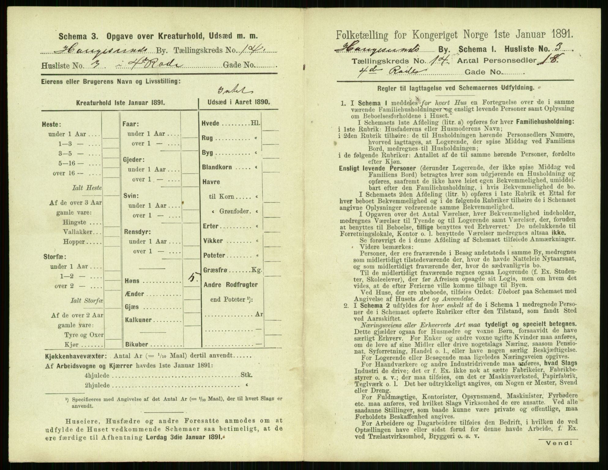 RA, 1891 census for 1106 Haugesund, 1891, p. 912