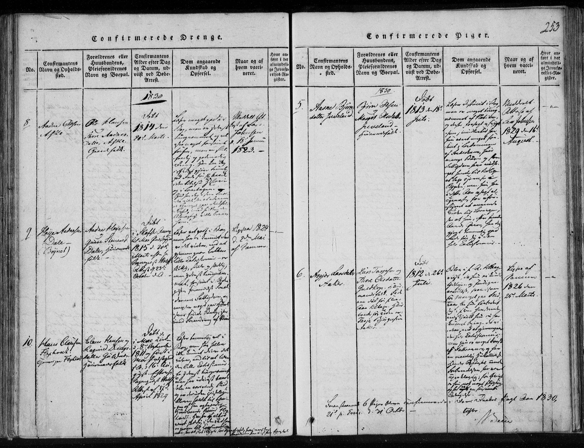 Lårdal kirkebøker, SAKO/A-284/F/Fa/L0005: Parish register (official) no. I 5, 1815-1860, p. 253