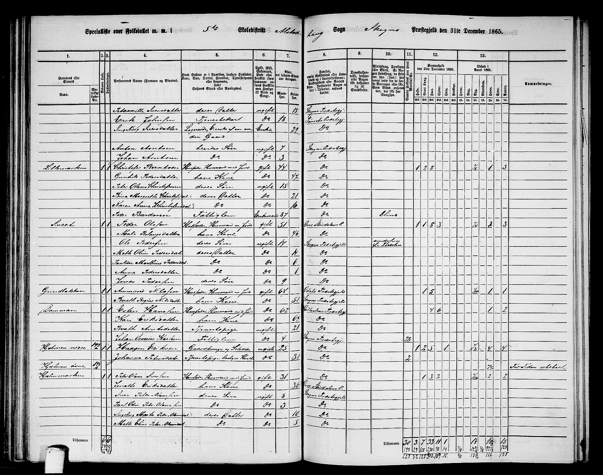 RA, 1865 census for Skogn, 1865, p. 123