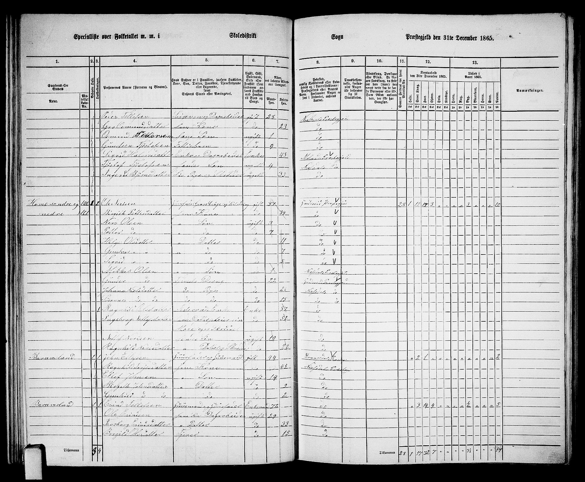 RA, 1865 census for Nissedal, 1865, p. 69