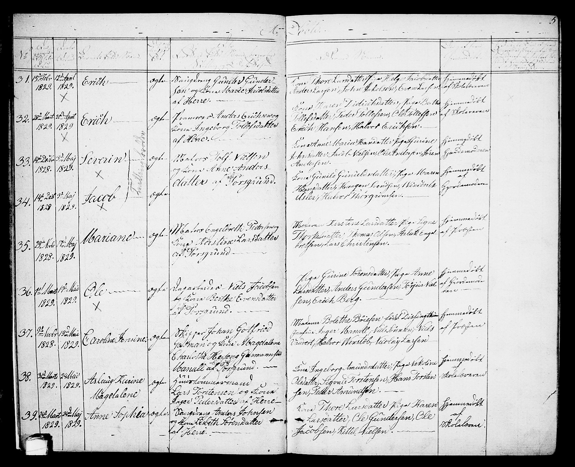 Porsgrunn kirkebøker , AV/SAKO-A-104/G/Gb/L0002: Parish register (copy) no. II 2, 1828-1841, p. 5