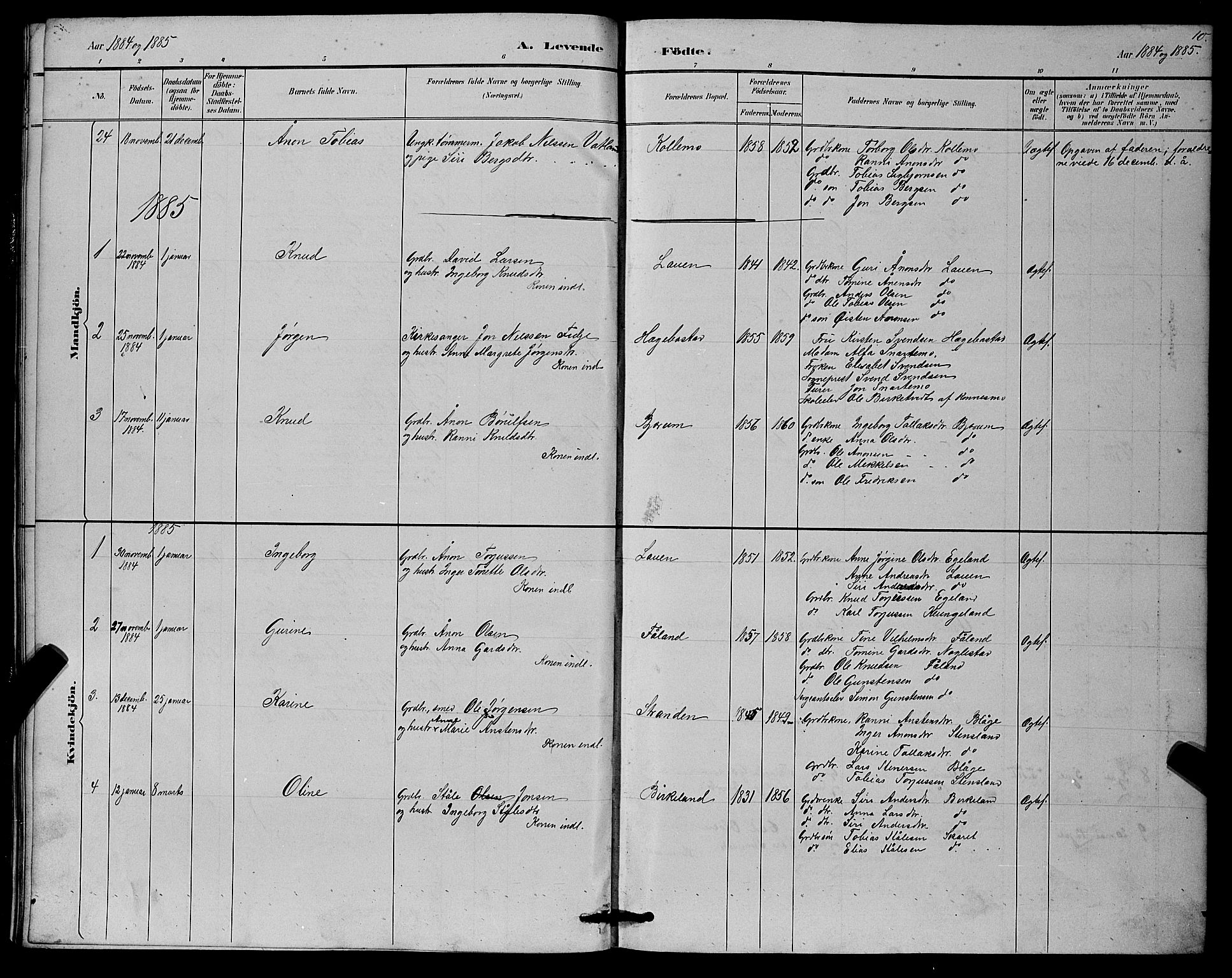 Hægebostad sokneprestkontor, SAK/1111-0024/F/Fb/Fba/L0003: Parish register (copy) no. B 3, 1883-1896, p. 10