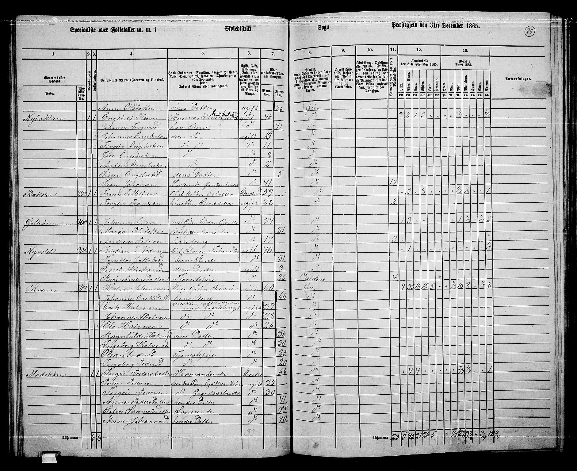 RA, 1865 census for Øyer, 1865, p. 76