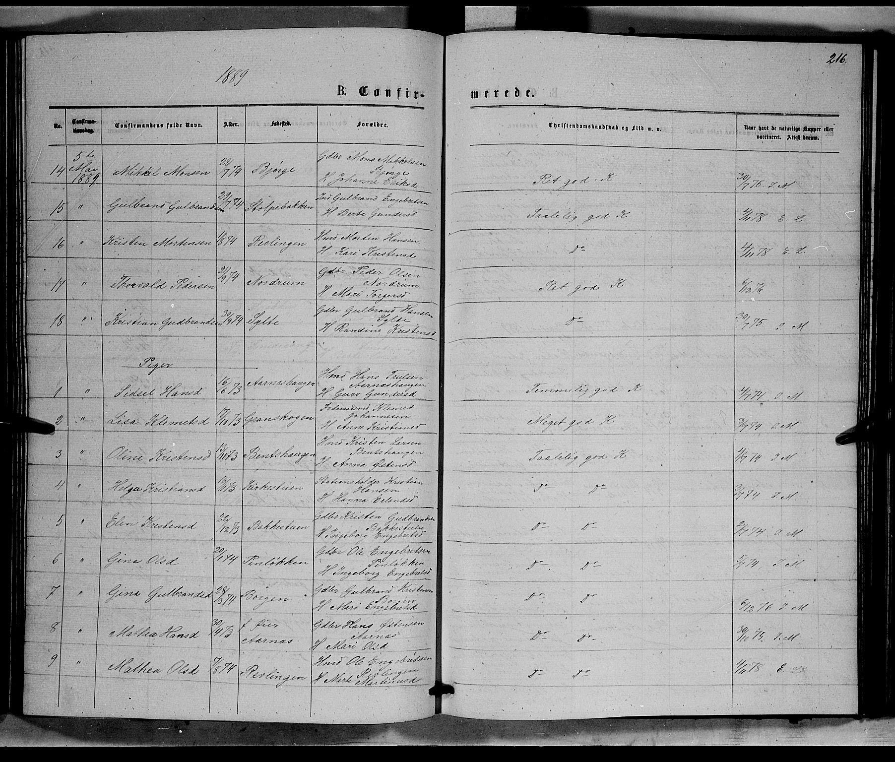 Ringebu prestekontor, SAH/PREST-082/H/Ha/Hab/L0006: Parish register (copy) no. 6, 1880-1898, p. 216
