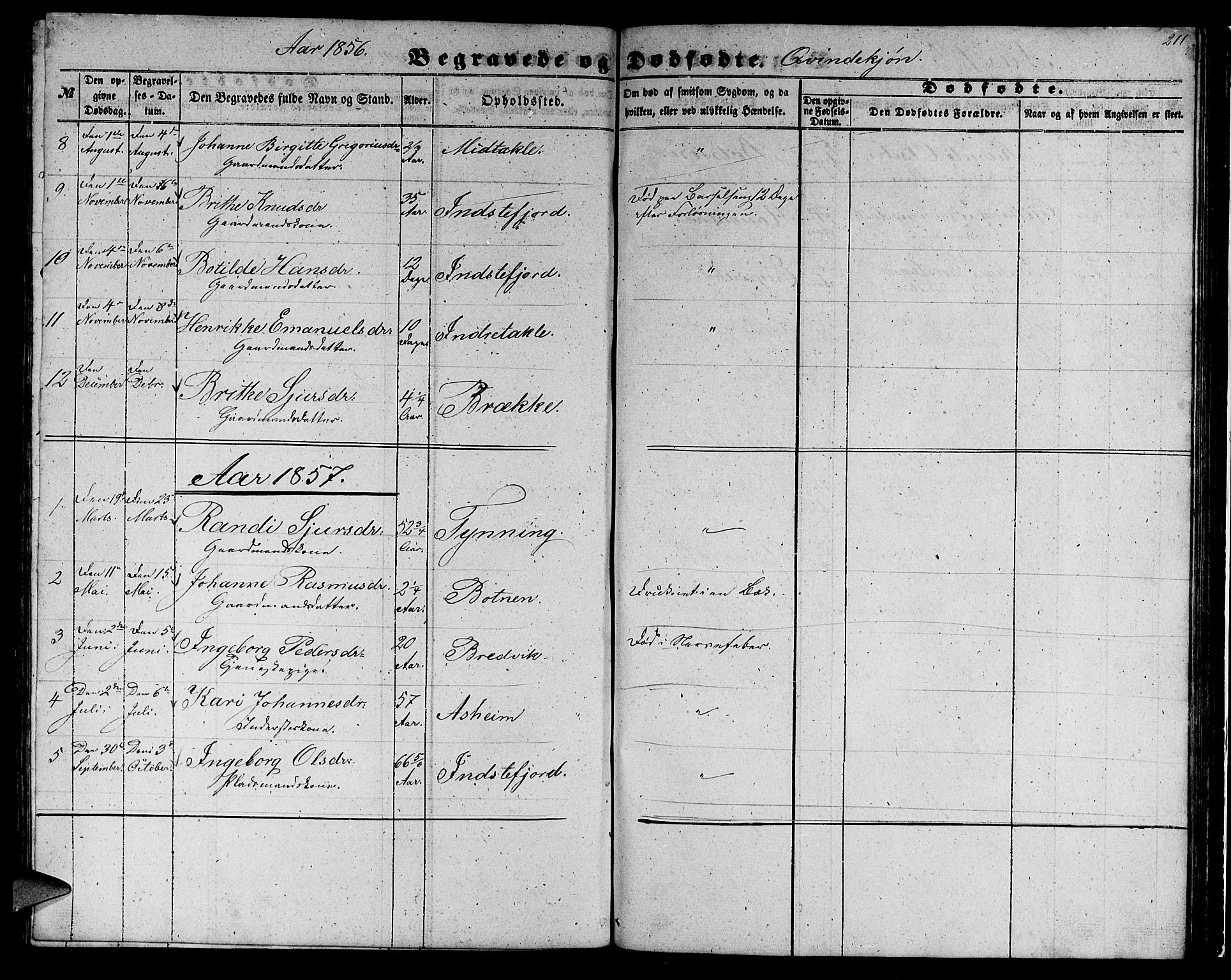 Gulen sokneprestembete, AV/SAB-A-80201/H/Hab/Habc/L0001: Parish register (copy) no. C 1, 1853-1880, p. 211