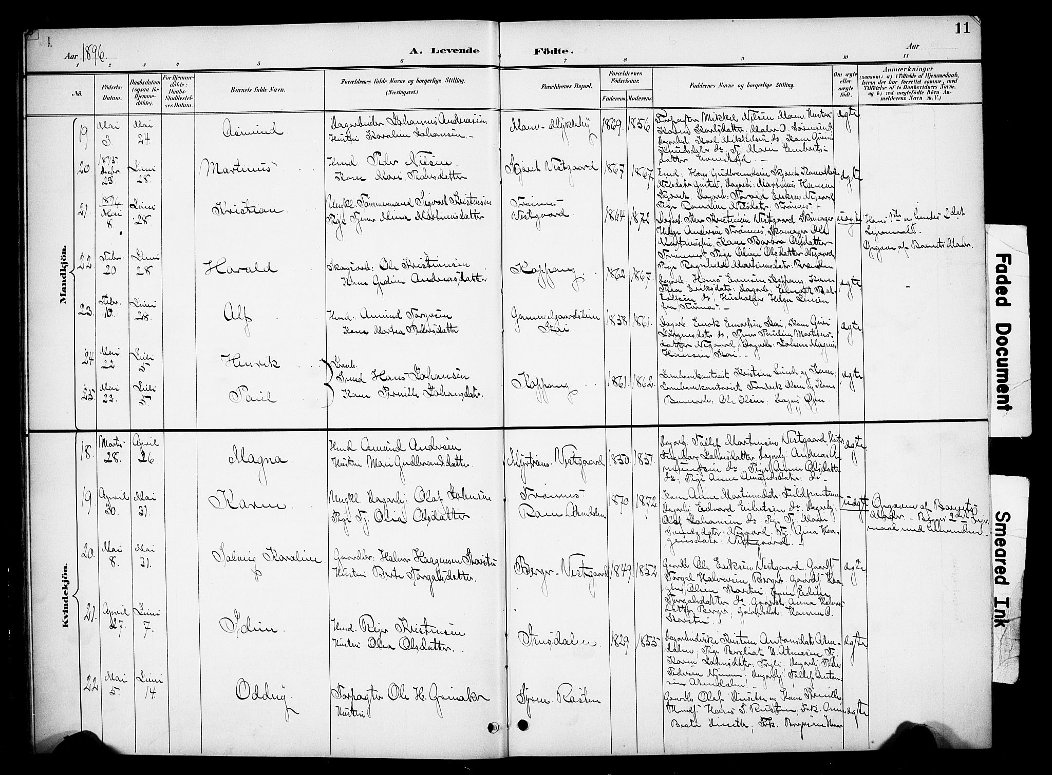 Stor-Elvdal prestekontor, SAH/PREST-052/H/Ha/Hab/L0003: Parish register (copy) no. 3, 1895-1917, p. 11