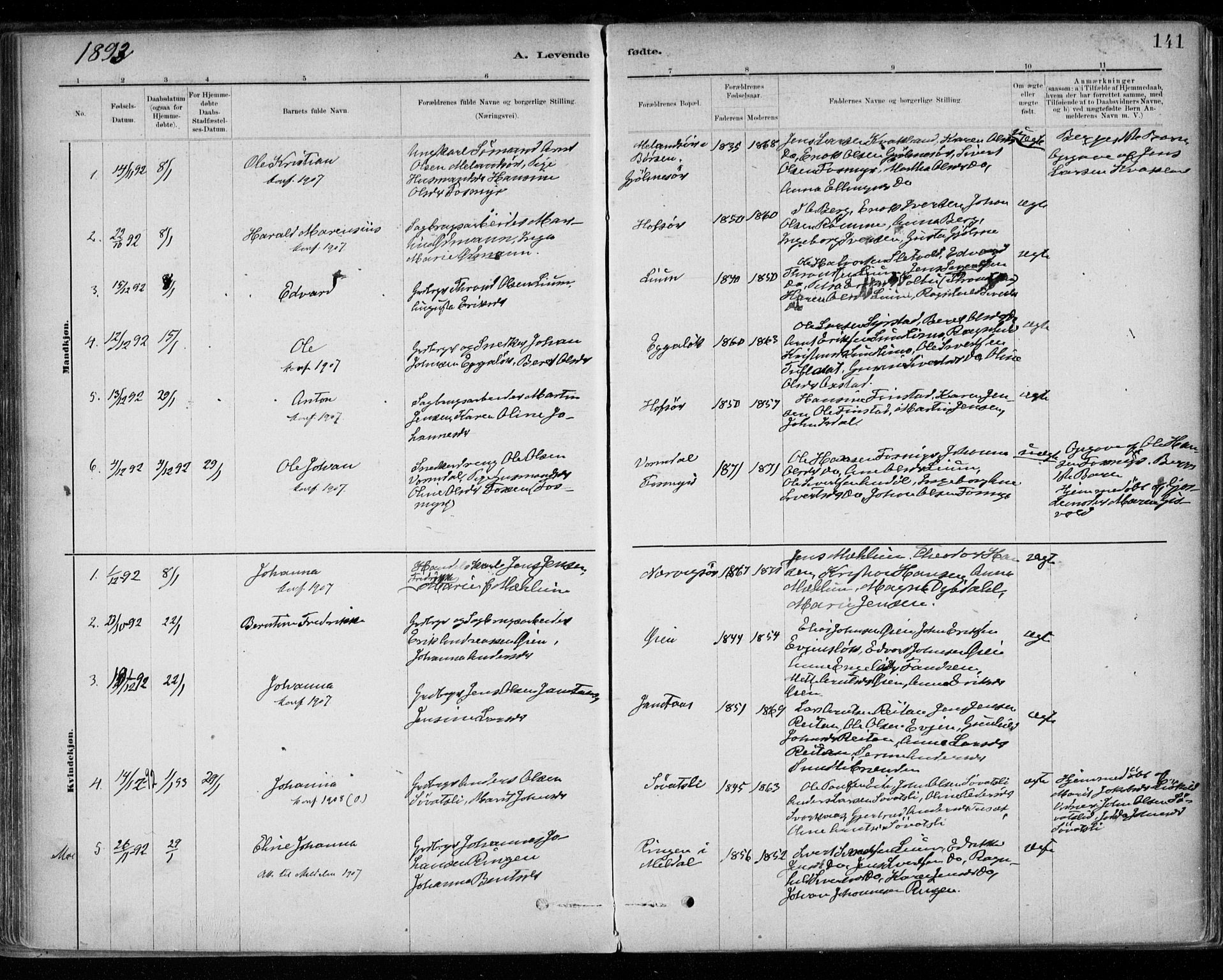 Ministerialprotokoller, klokkerbøker og fødselsregistre - Sør-Trøndelag, SAT/A-1456/668/L0809: Parish register (official) no. 668A09, 1881-1895, p. 141