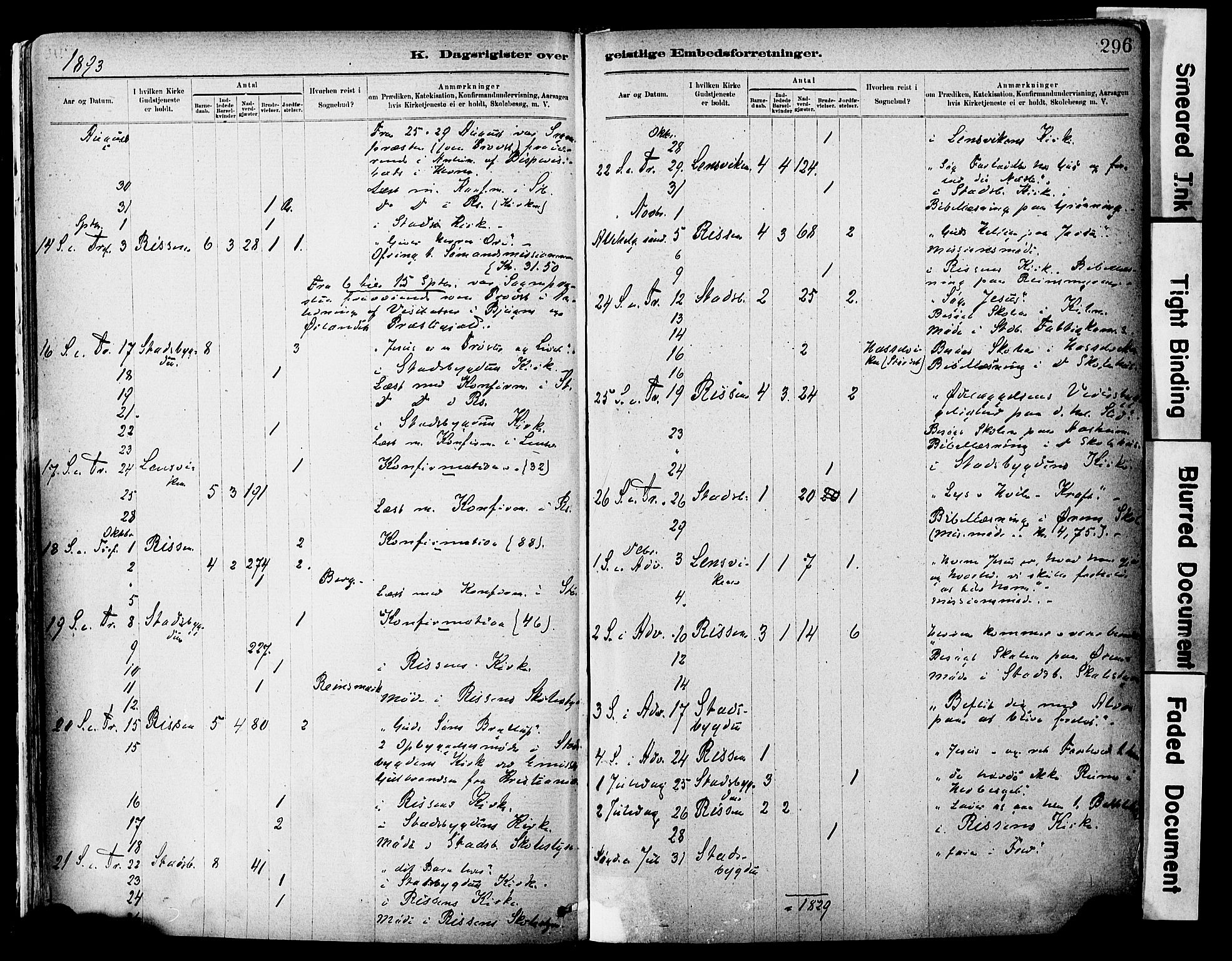 Ministerialprotokoller, klokkerbøker og fødselsregistre - Sør-Trøndelag, AV/SAT-A-1456/646/L0615: Parish register (official) no. 646A13, 1885-1900, p. 296