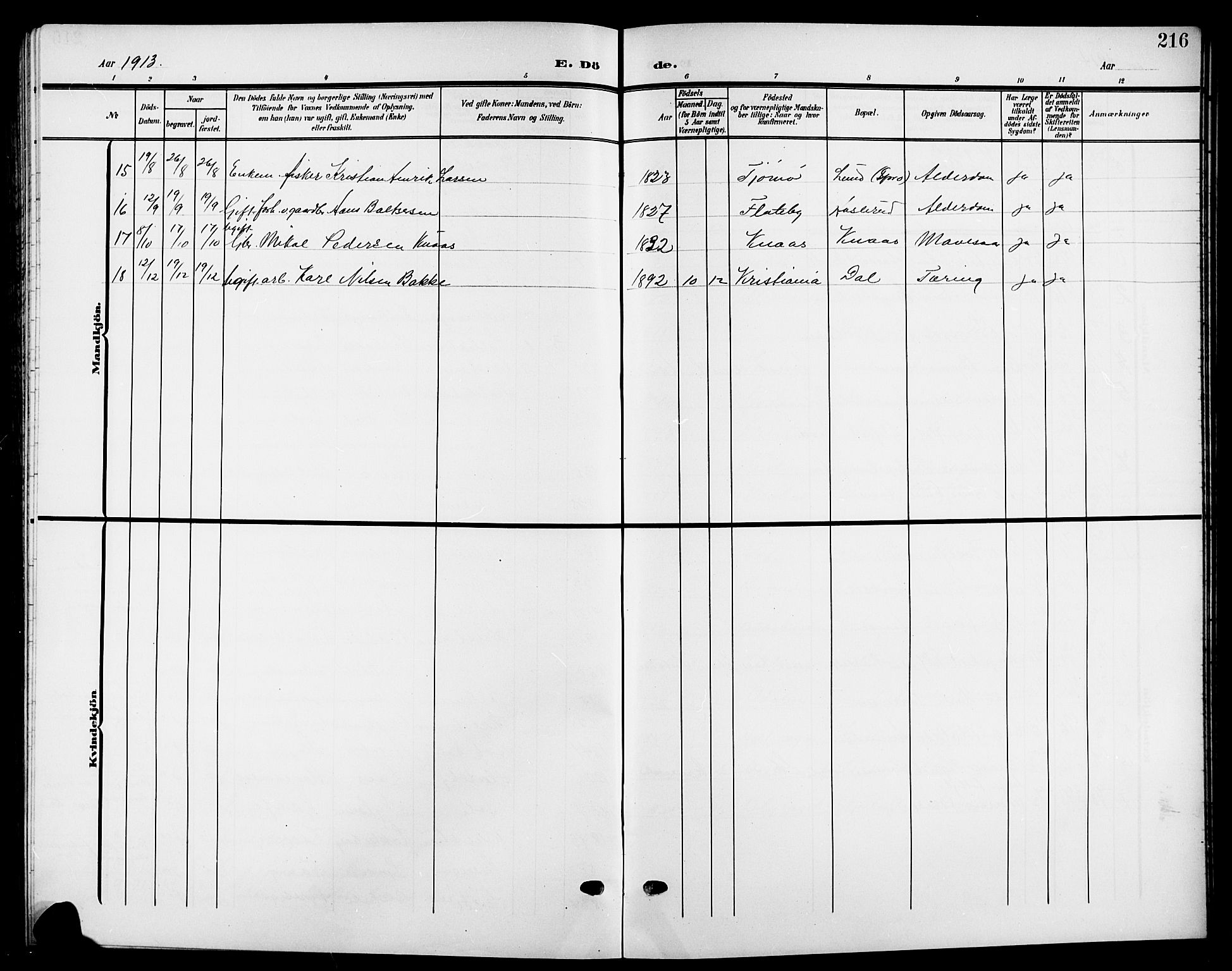 Nesodden prestekontor Kirkebøker, AV/SAO-A-10013/G/Ga/L0002: Parish register (copy) no. I 2, 1905-1924, p. 216