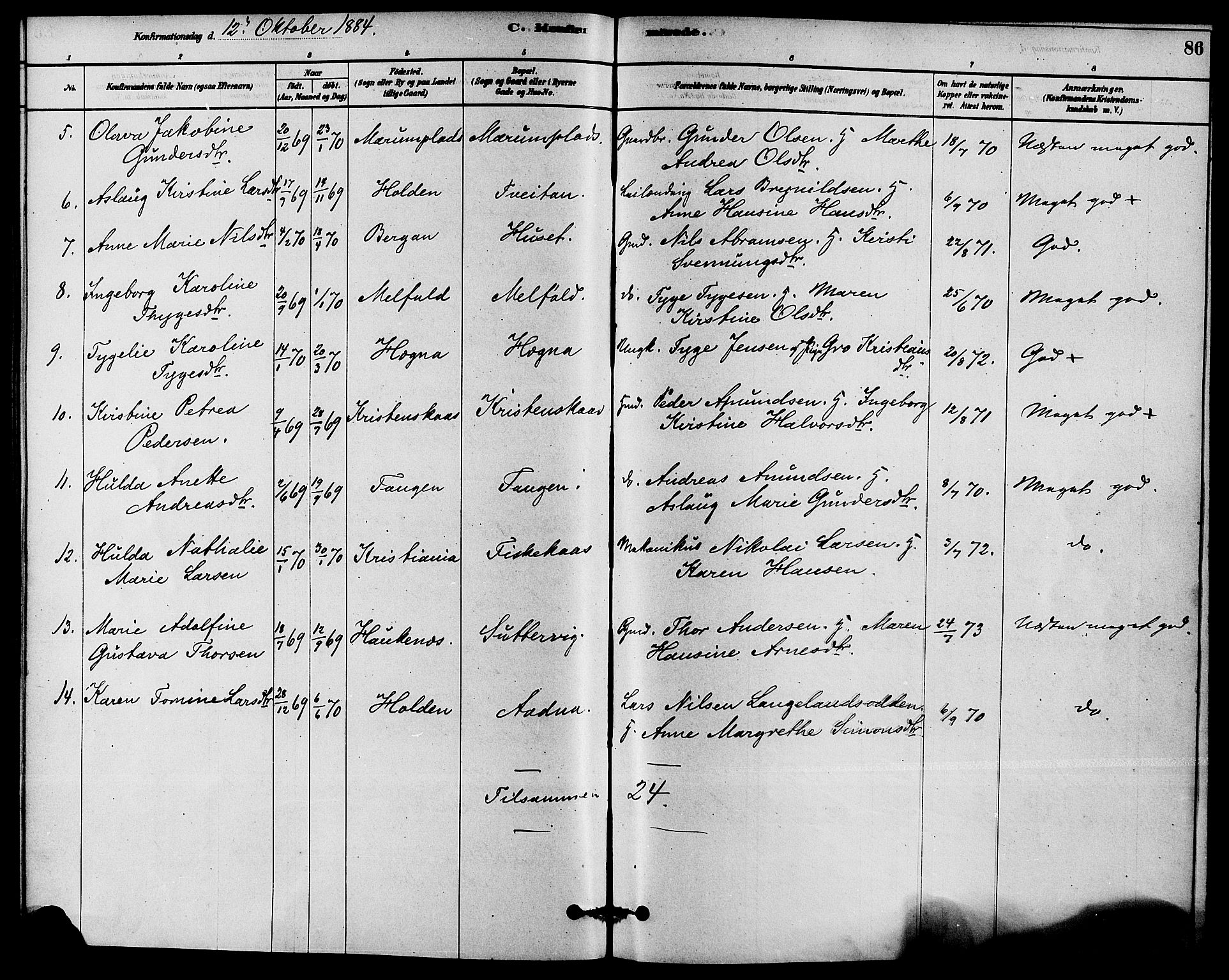 Solum kirkebøker, SAKO/A-306/F/Fb/L0001: Parish register (official) no. II 1, 1877-1892, p. 86