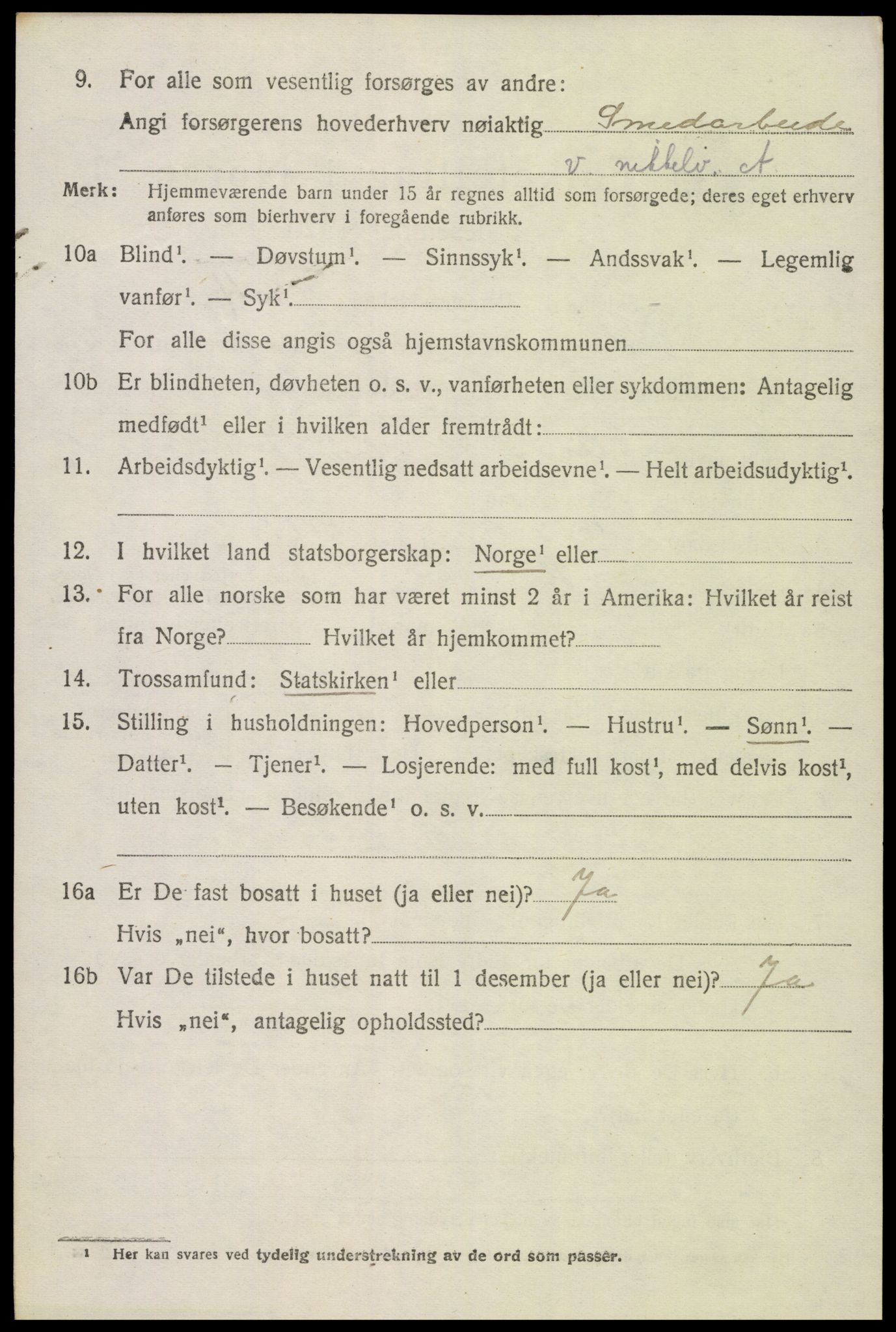 SAK, 1920 census for Hornnes, 1920, p. 788