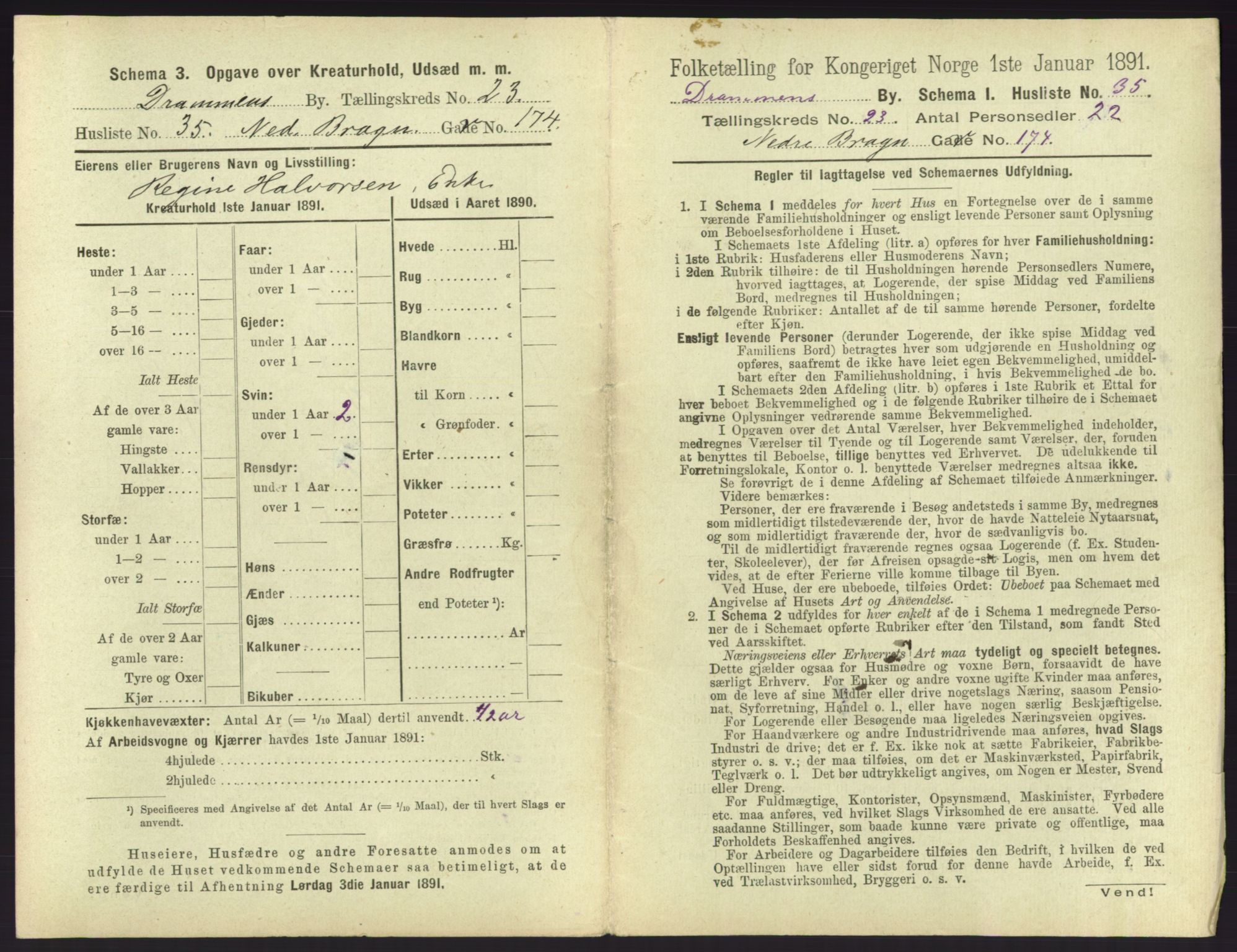 RA, 1891 census for 0602 Drammen, 1891, p. 1977