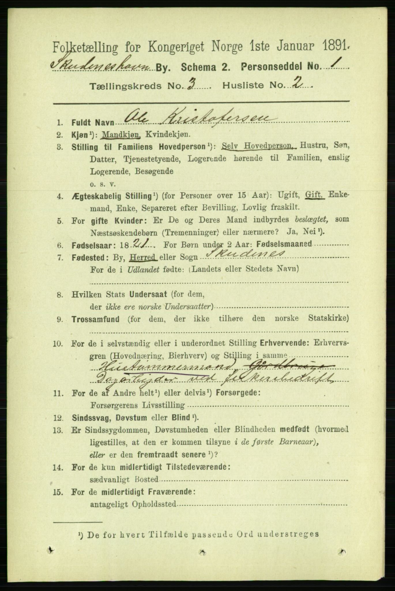 RA, 1891 census for 1104 Skudeneshavn, 1891, p. 968