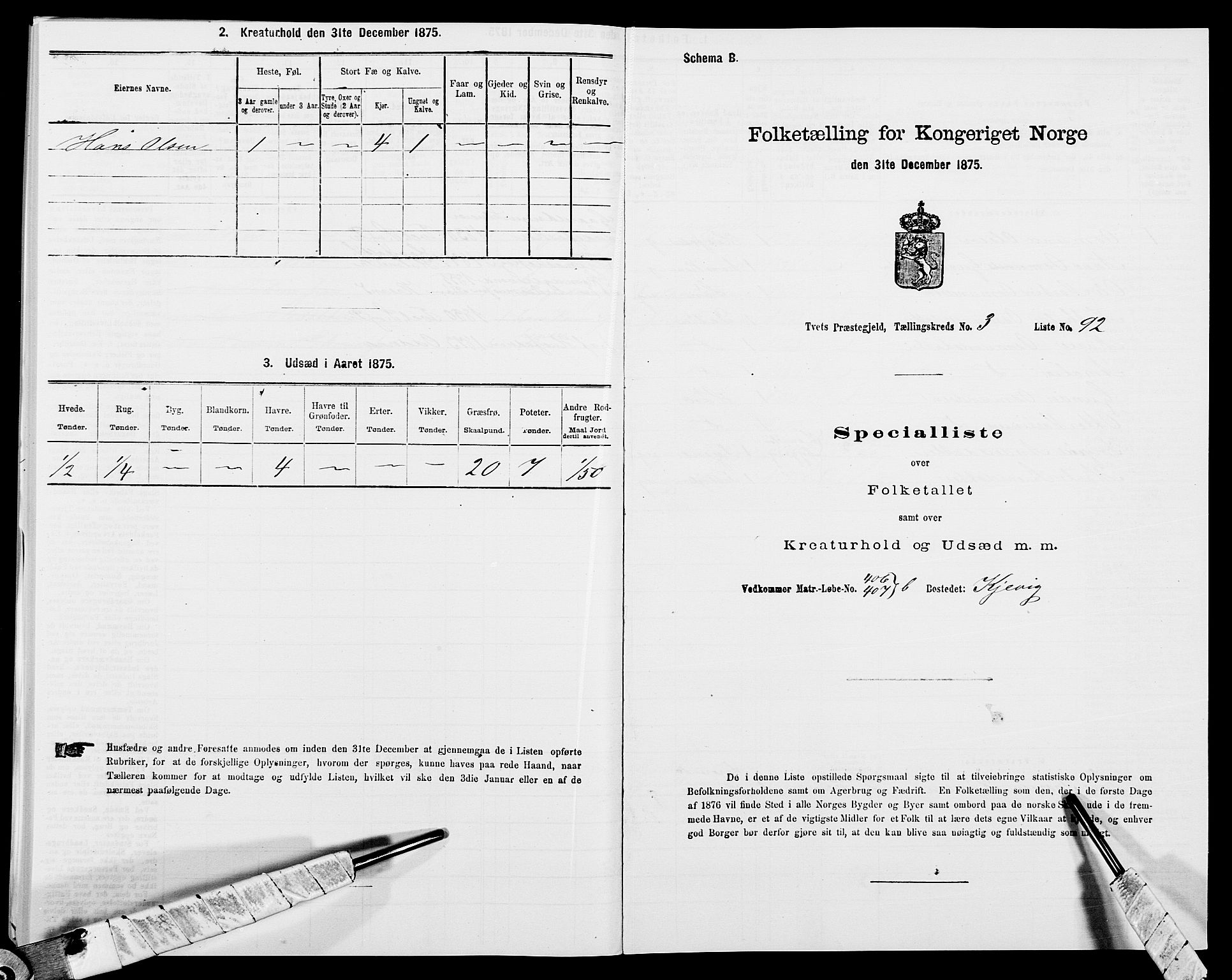 SAK, 1875 census for 1013P Tveit, 1875, p. 499