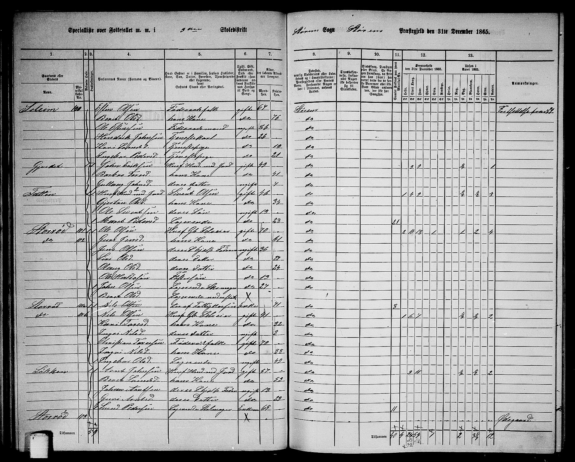 RA, 1865 census for Støren, 1865, p. 65