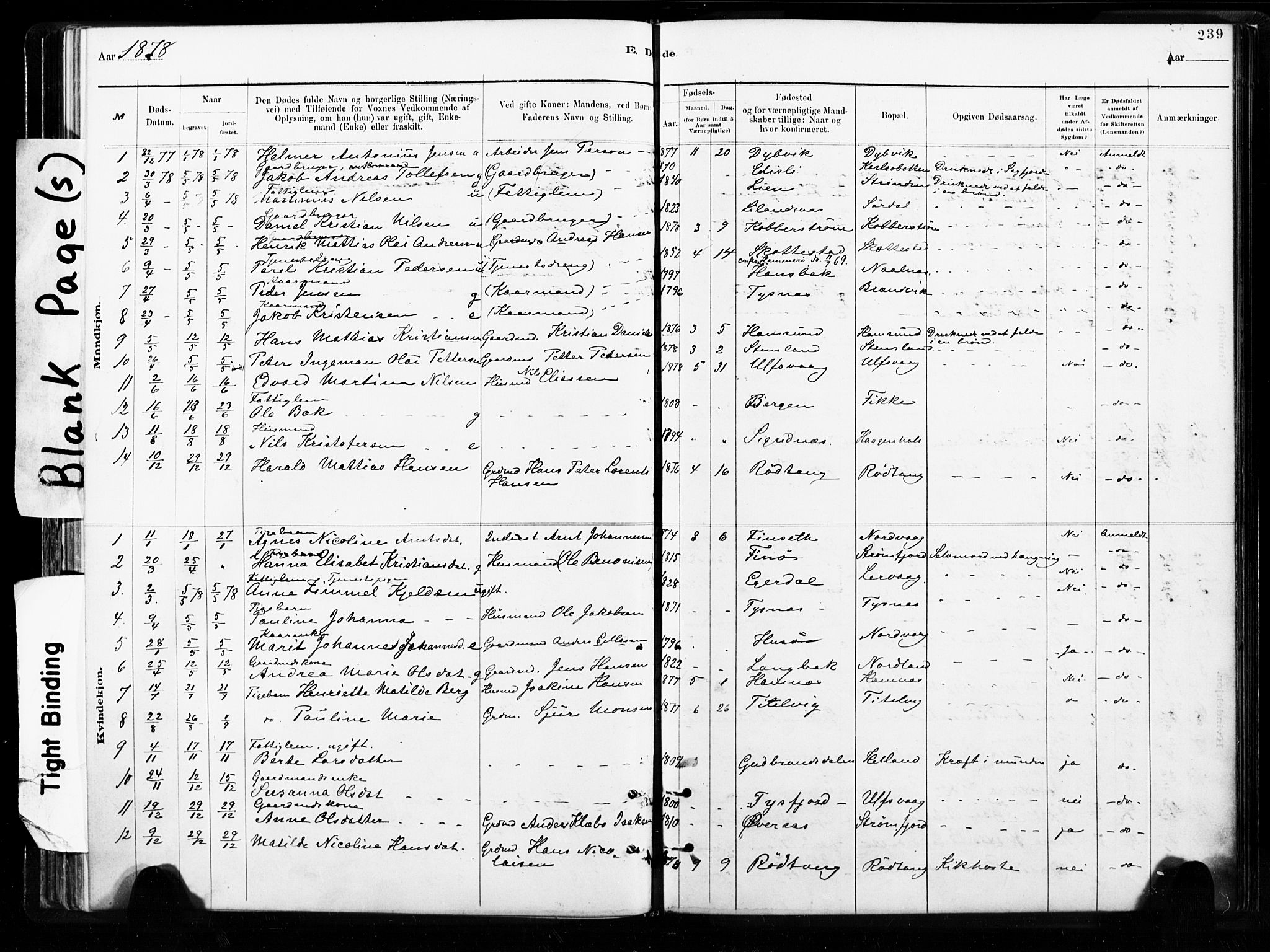 Ministerialprotokoller, klokkerbøker og fødselsregistre - Nordland, SAT/A-1459/859/L0846: Parish register (official) no. 859A06, 1878-1889, p. 239