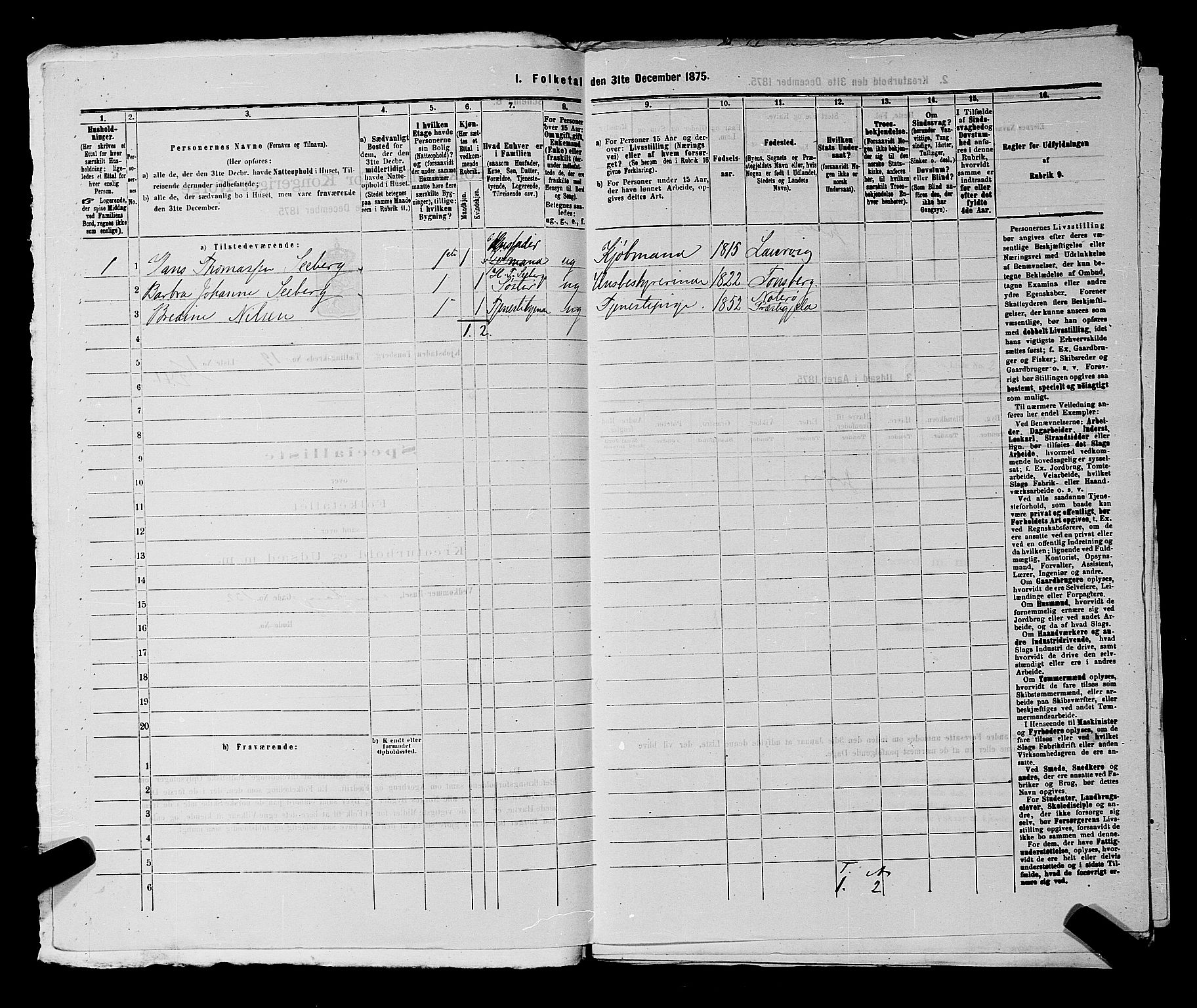 SAKO, 1875 census for 0705P Tønsberg, 1875, p. 595