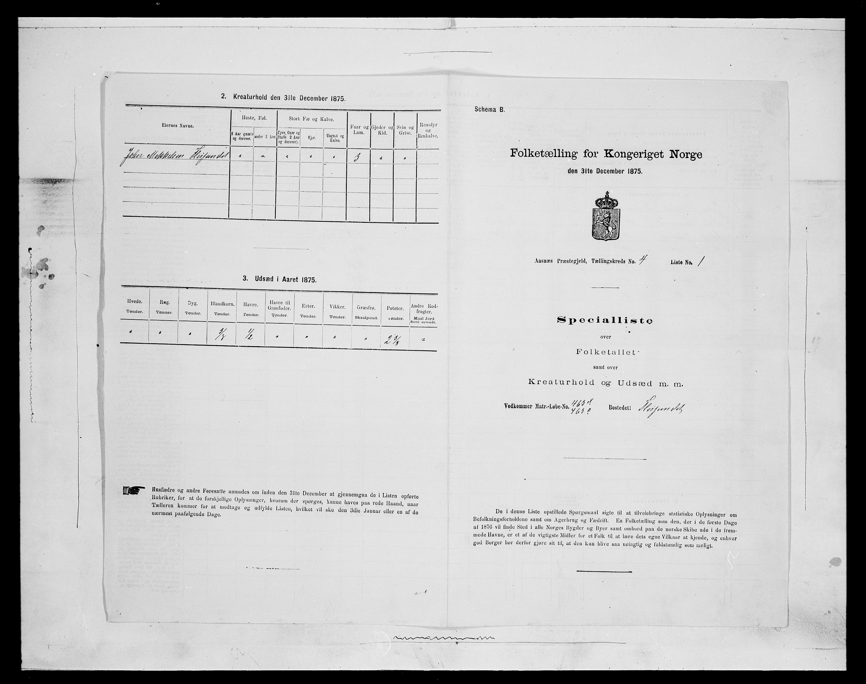 SAH, 1875 census for 0425P Åsnes, 1875, p. 456