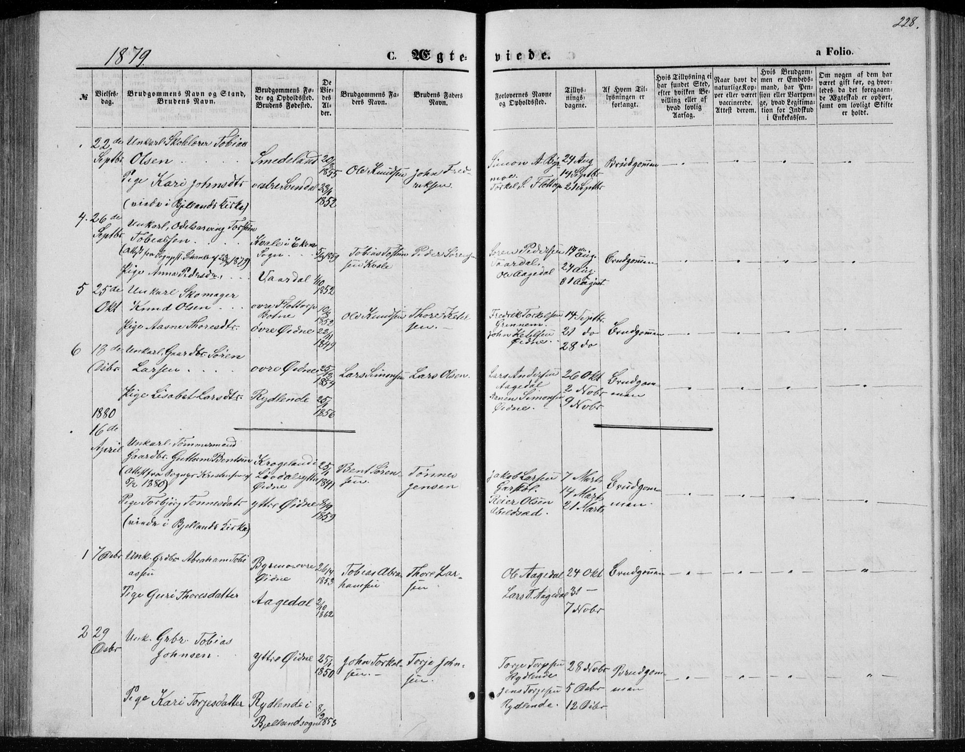 Bjelland sokneprestkontor, SAK/1111-0005/F/Fb/Fbc/L0002: Parish register (copy) no. B 2, 1867-1887, p. 228