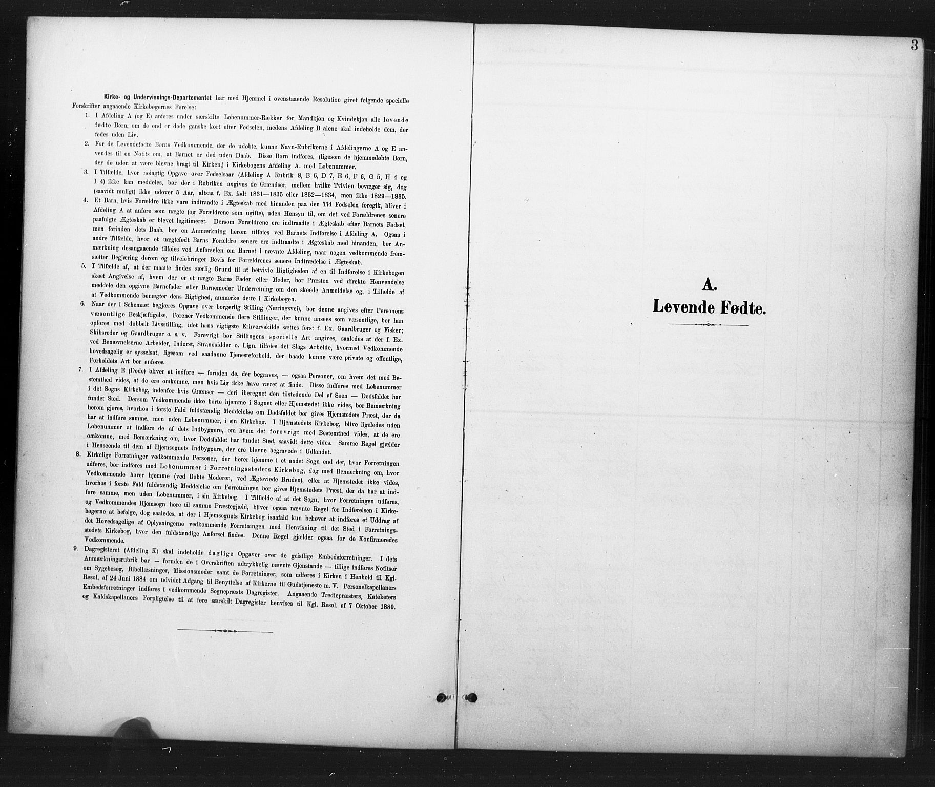 Hvaler prestekontor Kirkebøker, AV/SAO-A-2001/G/Ga/L0001: Parish register (copy) no. I 1, 1901-1930, p. 3