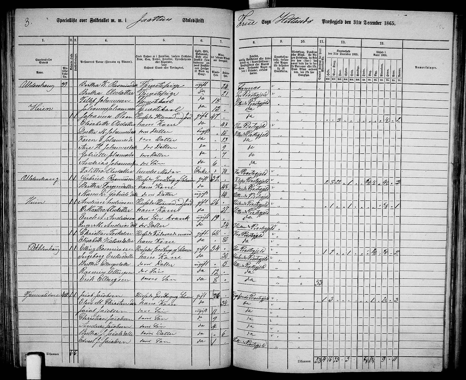 RA, 1865 census for Hetland, 1865, p. 106