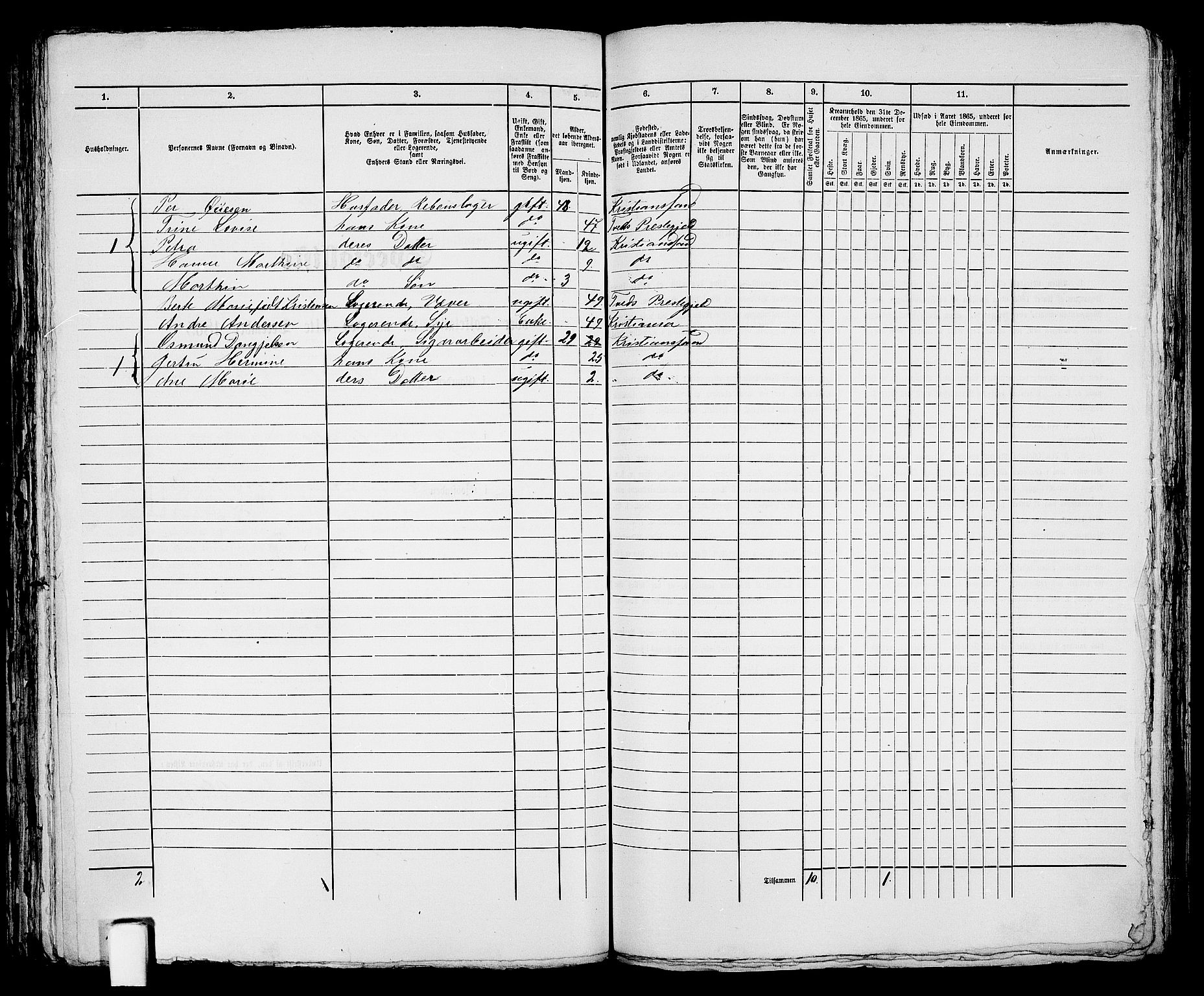 RA, 1865 census for Kristiansand, 1865, p. 1359