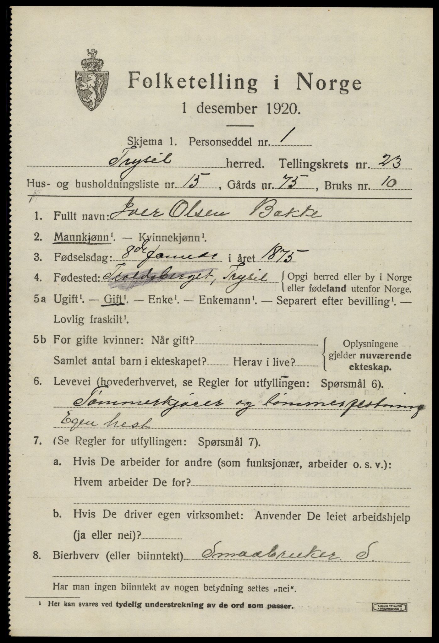 SAH, 1920 census for Trysil, 1920, p. 15005