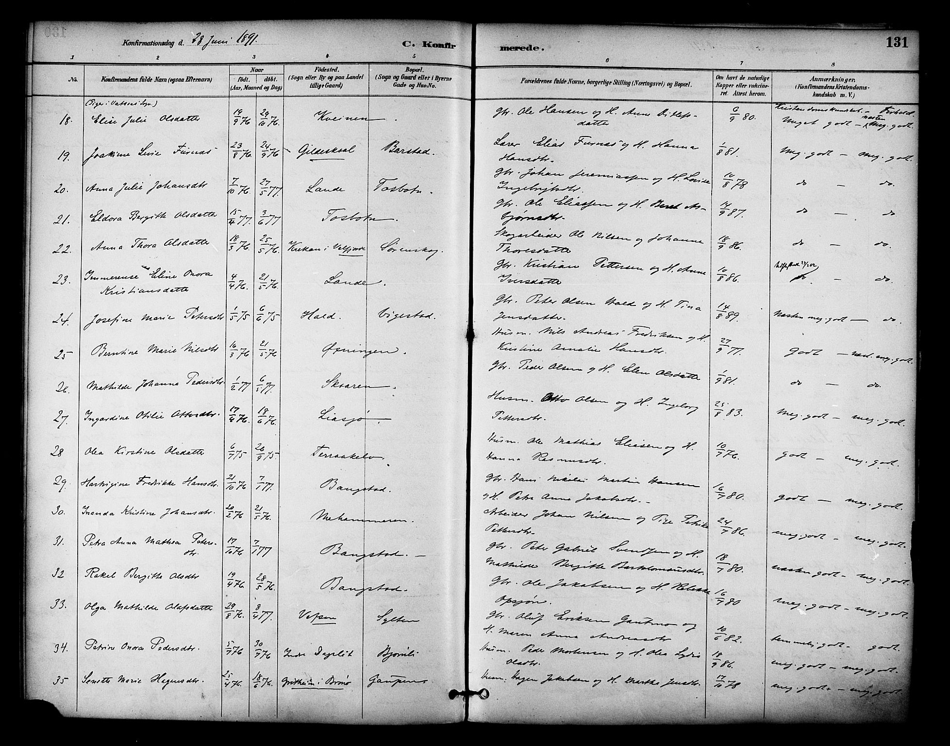 Ministerialprotokoller, klokkerbøker og fødselsregistre - Nordland, AV/SAT-A-1459/810/L0150: Parish register (official) no. 810A10 /1, 1884-1895, p. 131