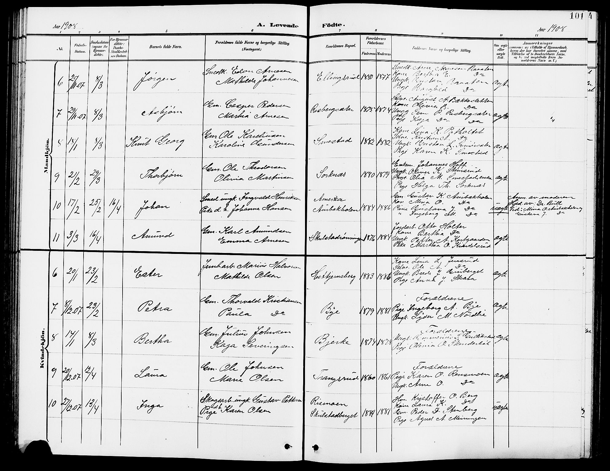 Grue prestekontor, SAH/PREST-036/H/Ha/Hab/L0005: Parish register (copy) no. 5, 1900-1909, p. 101