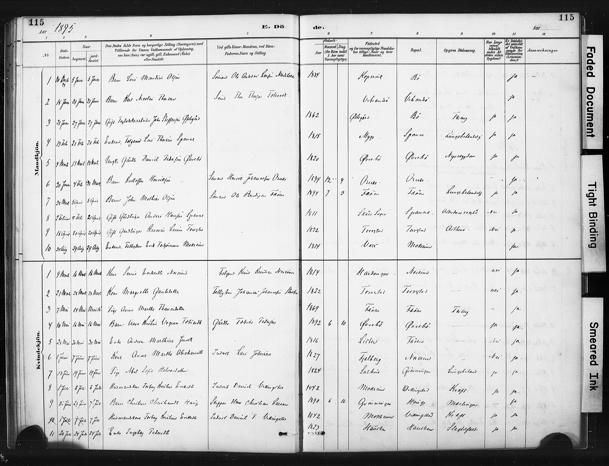 Torvastad sokneprestkontor, AV/SAST-A -101857/H/Ha/Haa/L0015: Parish register (official) no. A 14, 1888-1899, p. 115