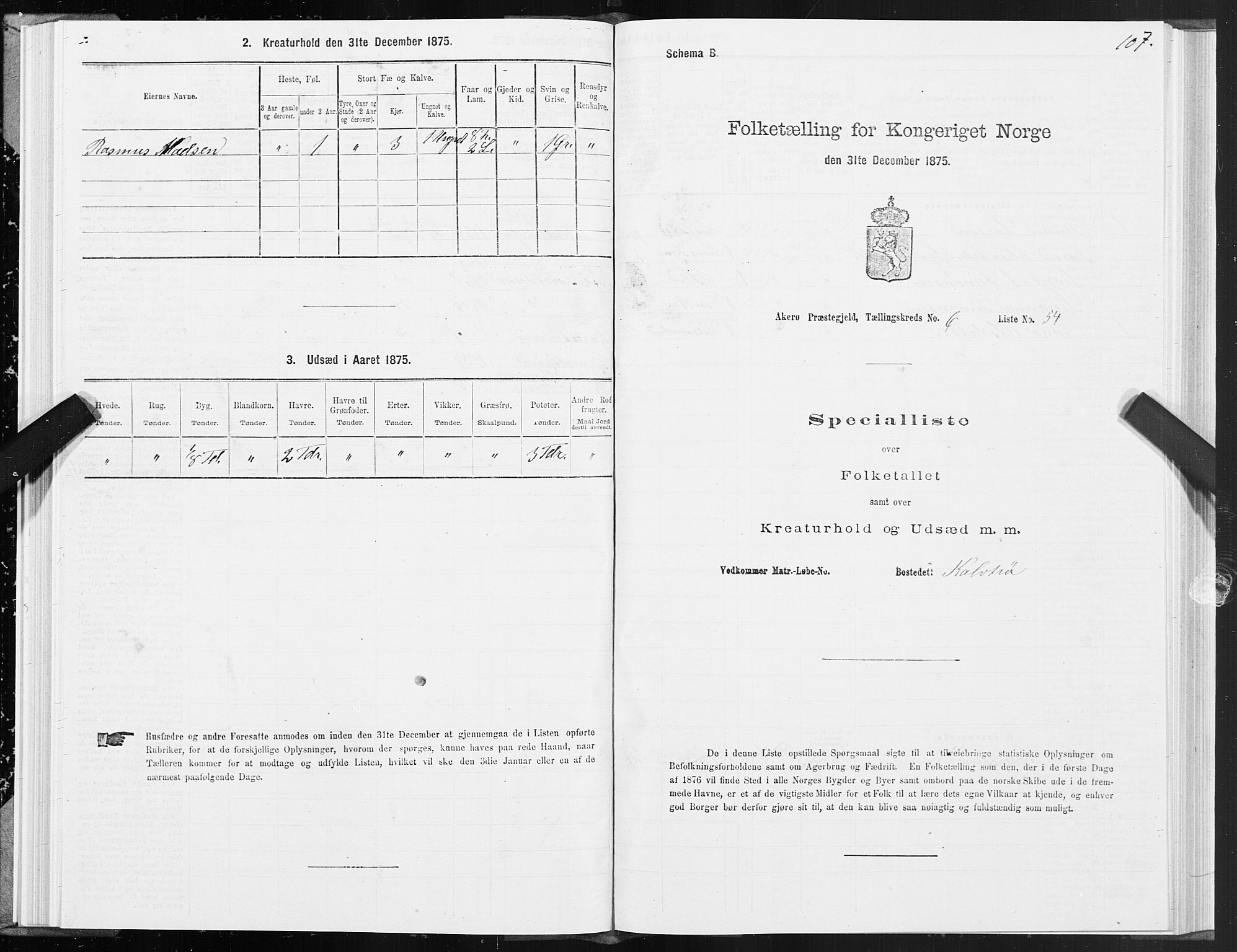 SAT, 1875 census for 1545P Aukra, 1875, p. 3107