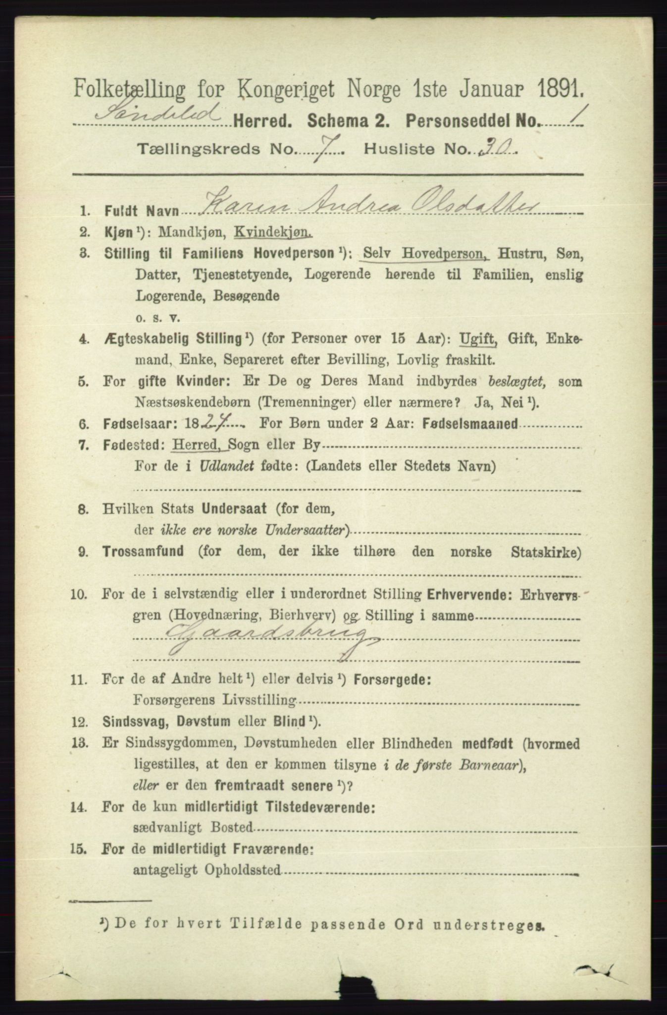 RA, 1891 census for 0913 Søndeled, 1891, p. 2521