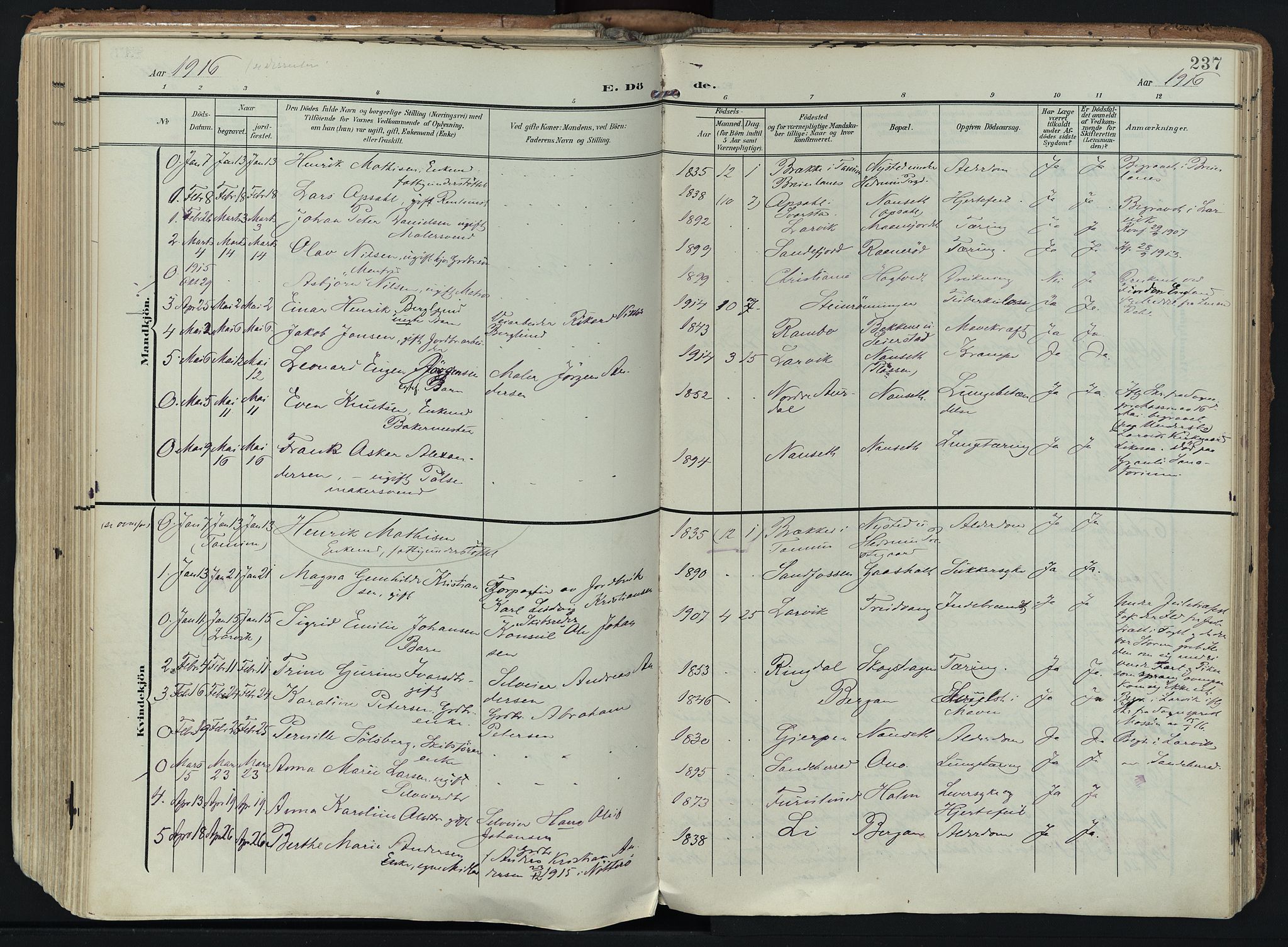 Hedrum kirkebøker, SAKO/A-344/F/Fa/L0010: Parish register (official) no. I 10, 1904-1918, p. 237