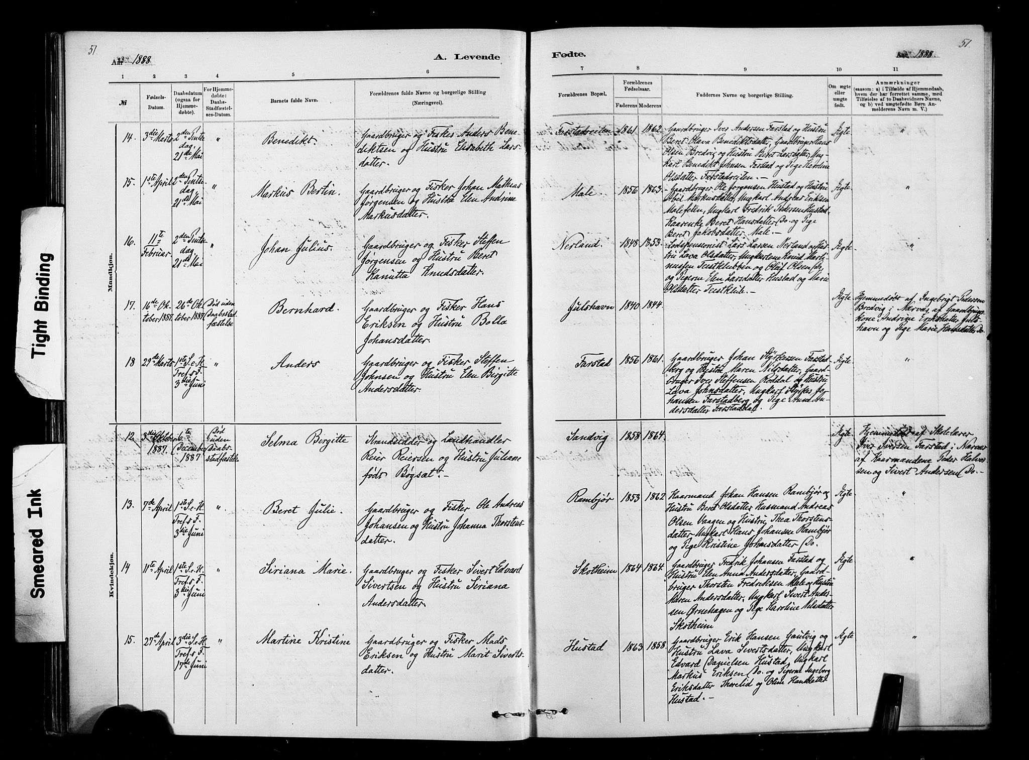 Ministerialprotokoller, klokkerbøker og fødselsregistre - Møre og Romsdal, AV/SAT-A-1454/567/L0778: Parish register (official) no. 567A01, 1881-1903, p. 51