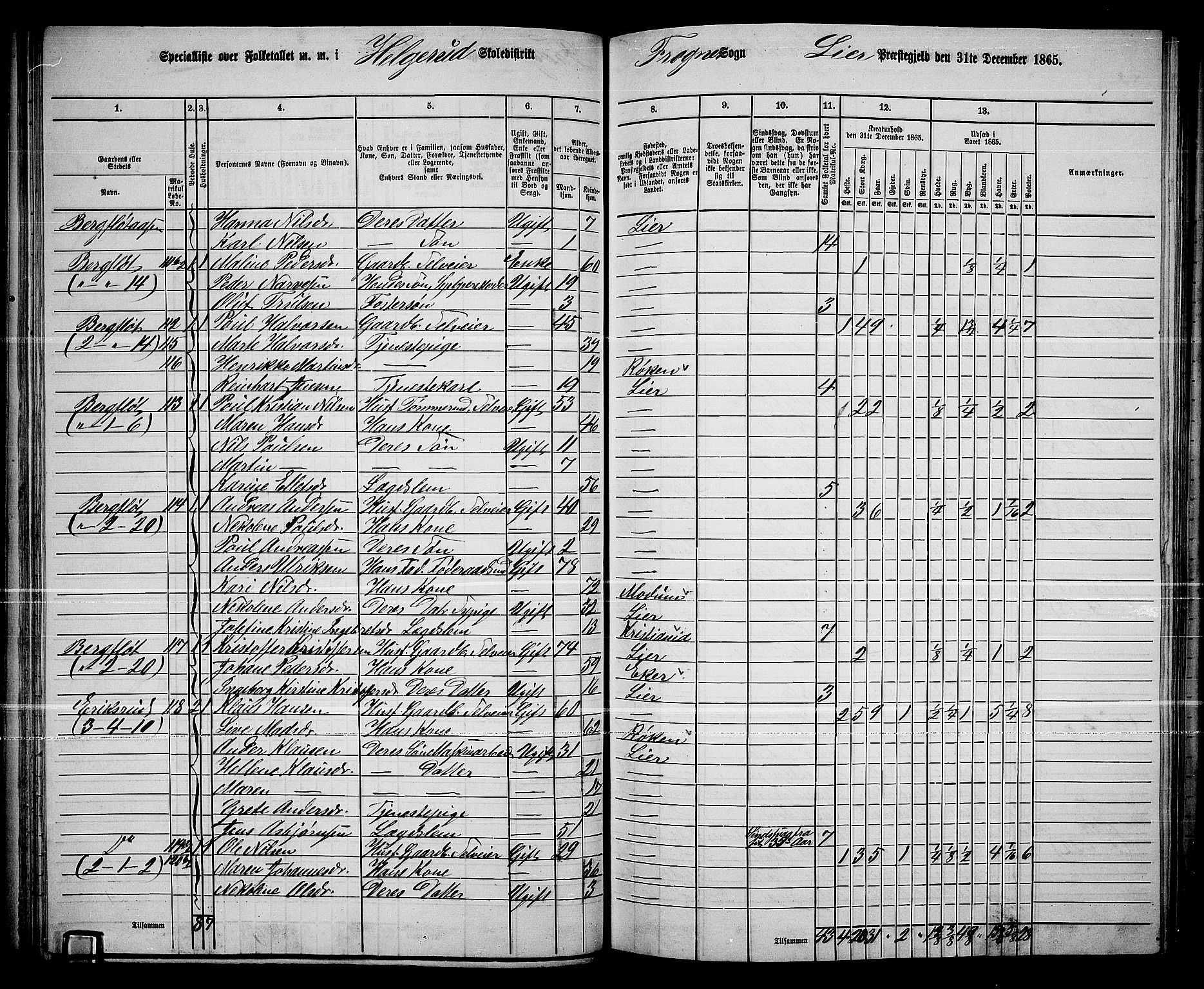 RA, 1865 census for Lier, 1865, p. 73