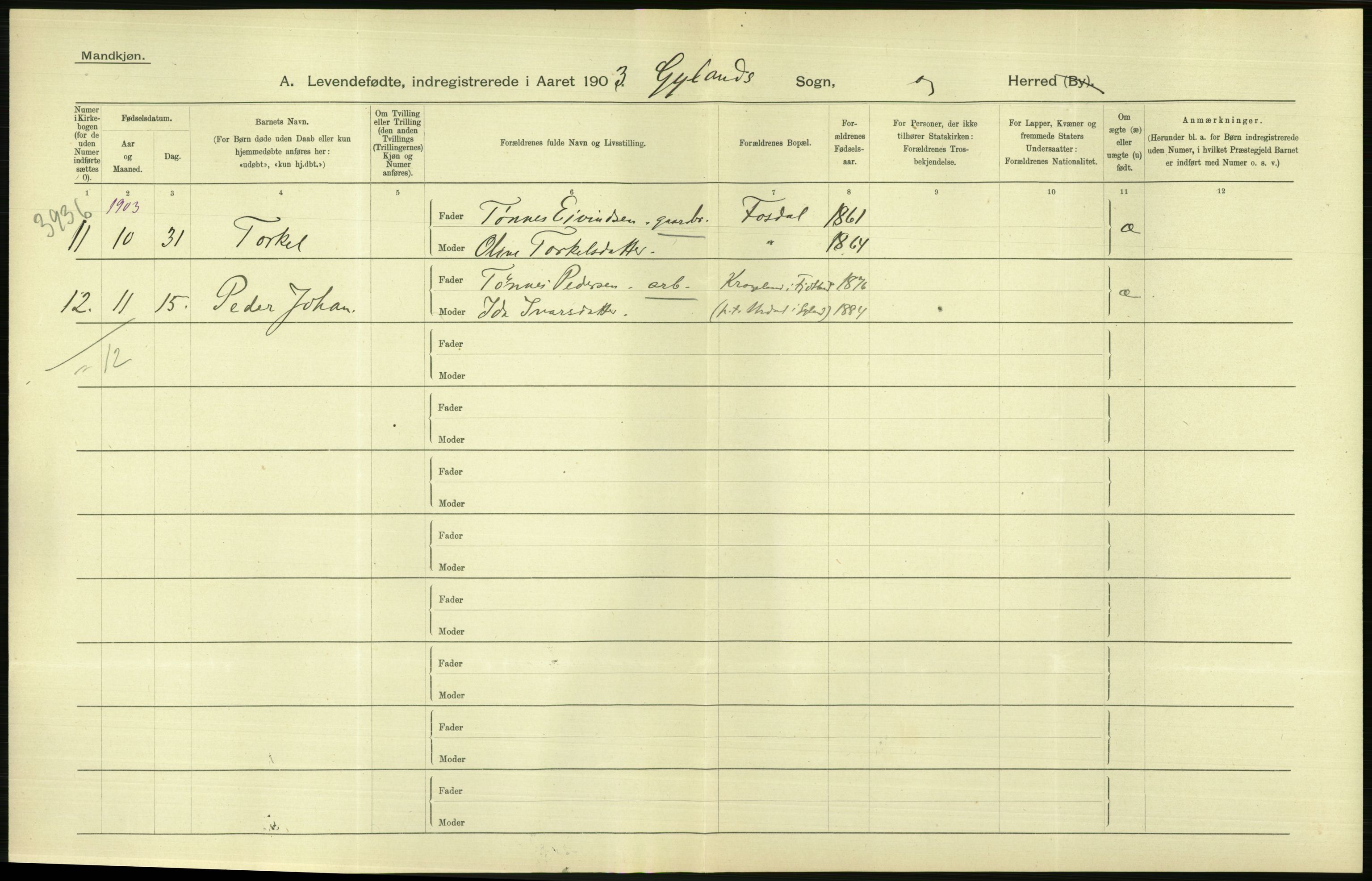 Statistisk sentralbyrå, Sosiodemografiske emner, Befolkning, AV/RA-S-2228/D/Df/Dfa/Dfaa/L0011: Lister og Mandal amt: Fødte, gifte, døde, 1903, p. 14