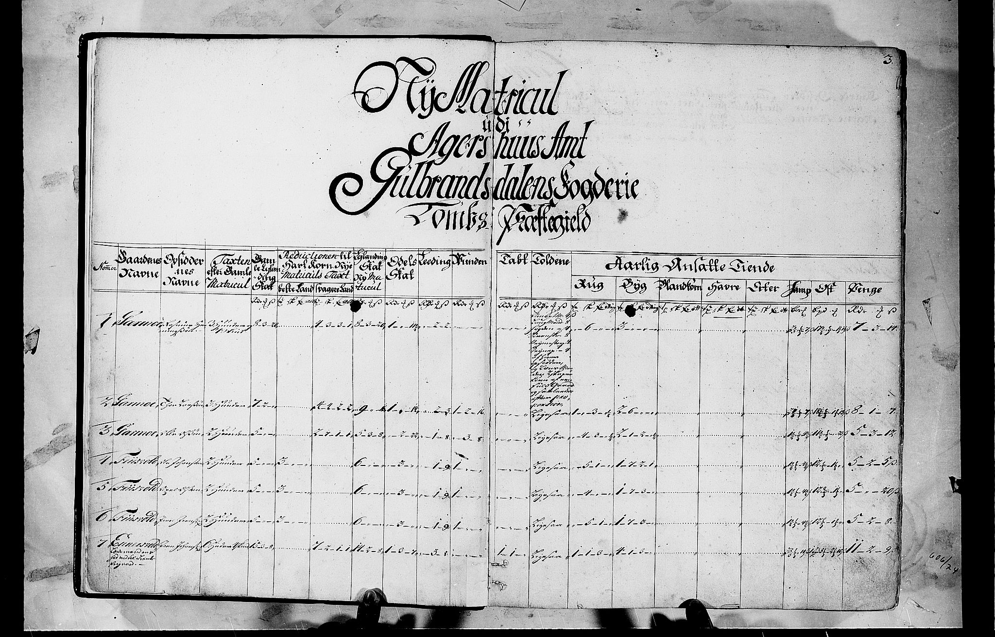Rentekammeret inntil 1814, Realistisk ordnet avdeling, RA/EA-4070/N/Nb/Nbf/L0108: Gudbrandsdalen matrikkelprotokoll, 1723, p. 2b-3a