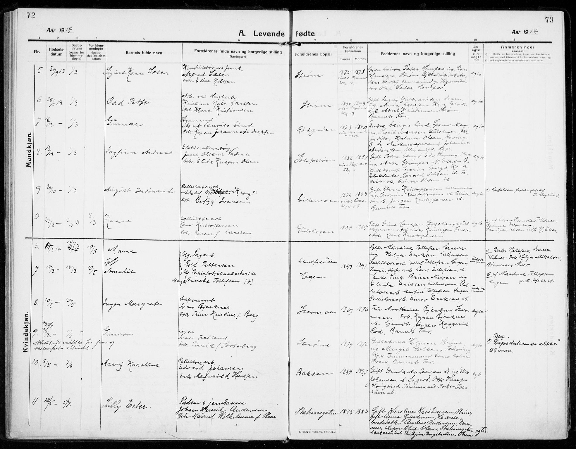 Strømsgodset kirkebøker, AV/SAKO-A-324/F/Fa/L0002: Parish register (official) no. 2, 1910-1920, p. 72-73