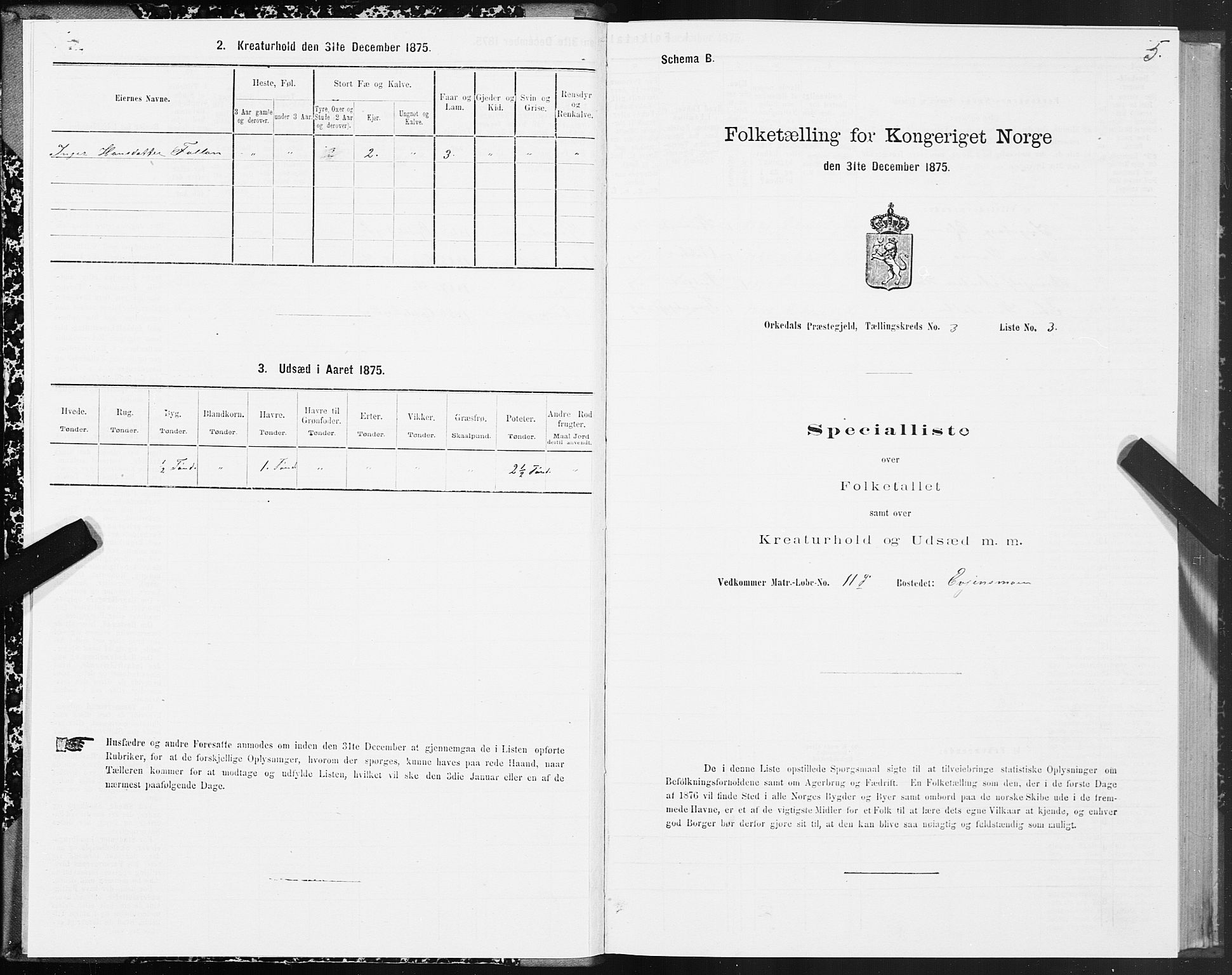 SAT, 1875 census for 1638P Orkdal, 1875, p. 2005