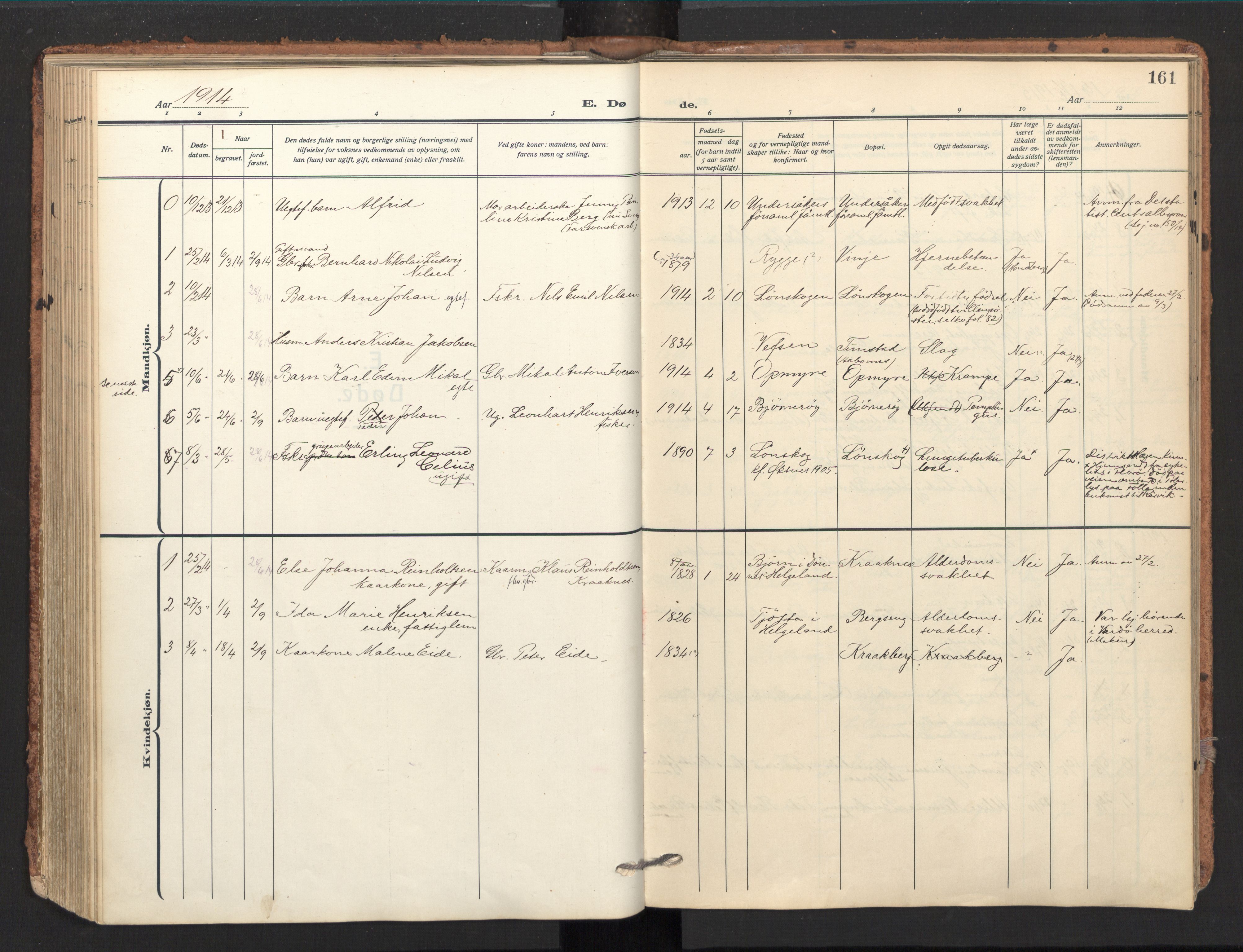 Ministerialprotokoller, klokkerbøker og fødselsregistre - Nordland, AV/SAT-A-1459/893/L1343: Parish register (official) no. 893A15, 1914-1928, p. 161