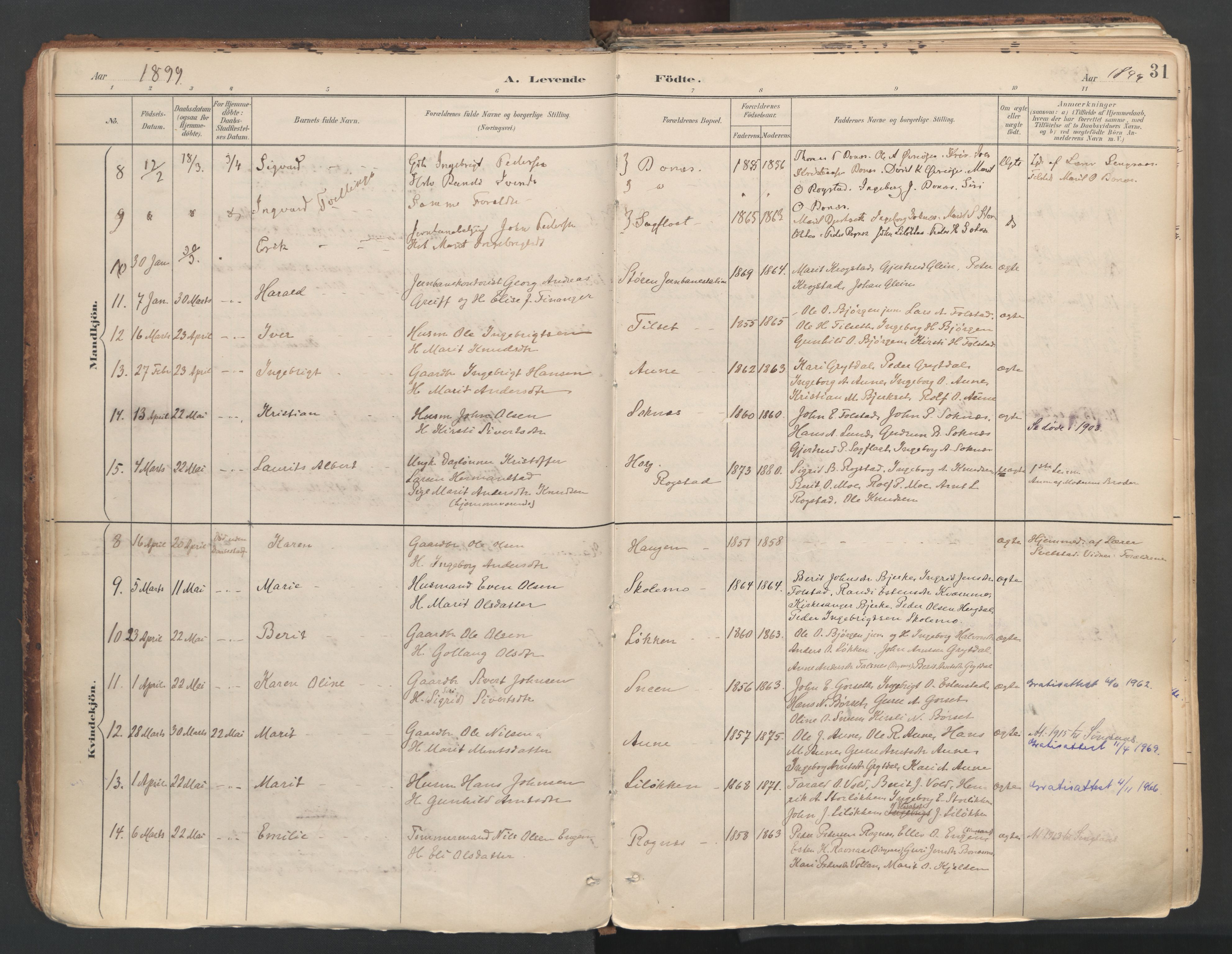 Ministerialprotokoller, klokkerbøker og fødselsregistre - Sør-Trøndelag, SAT/A-1456/687/L1004: Parish register (official) no. 687A10, 1891-1923, p. 31