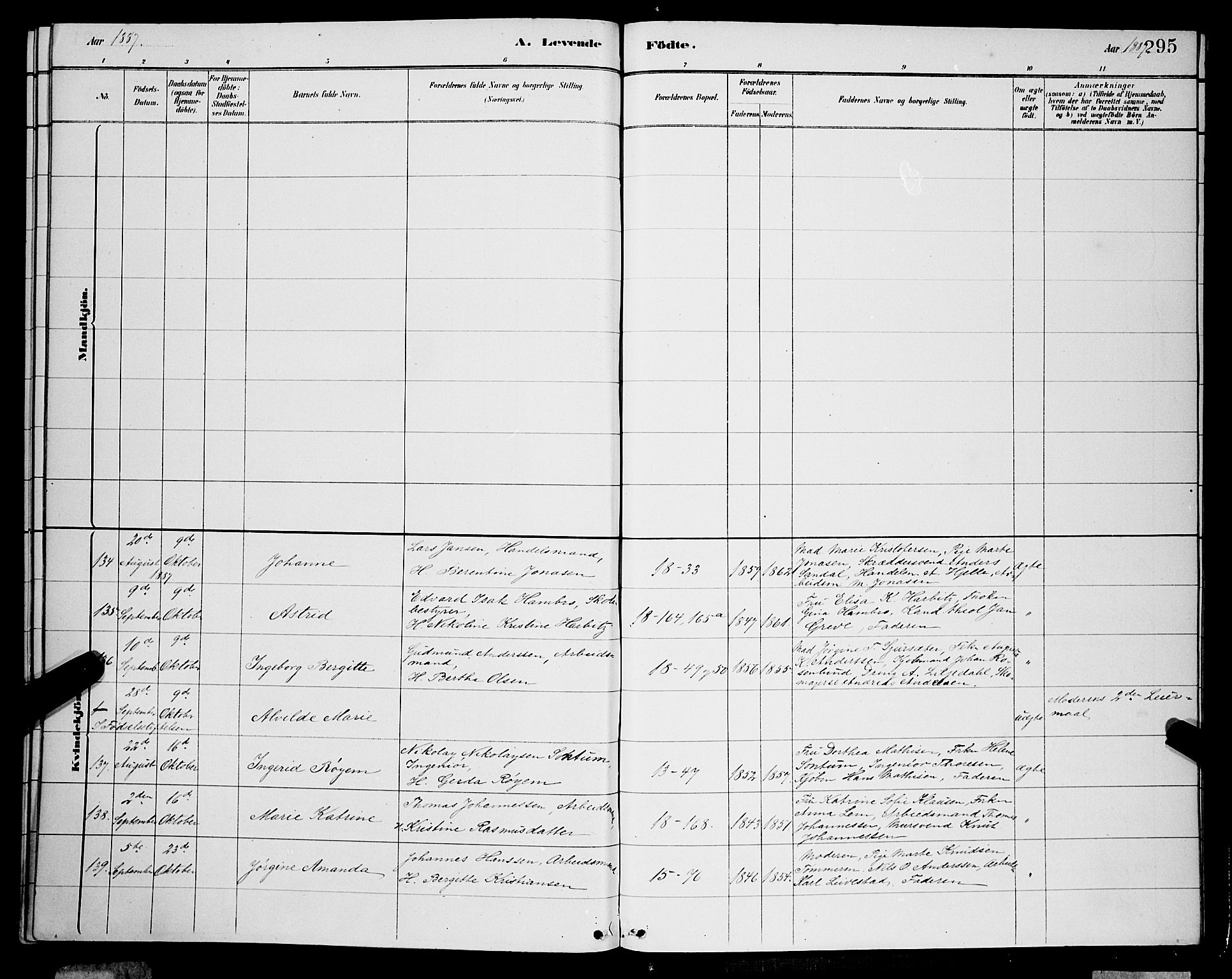 Domkirken sokneprestembete, SAB/A-74801/H/Hab/L0015: Parish register (copy) no. B 8, 1879-1887, p. 295