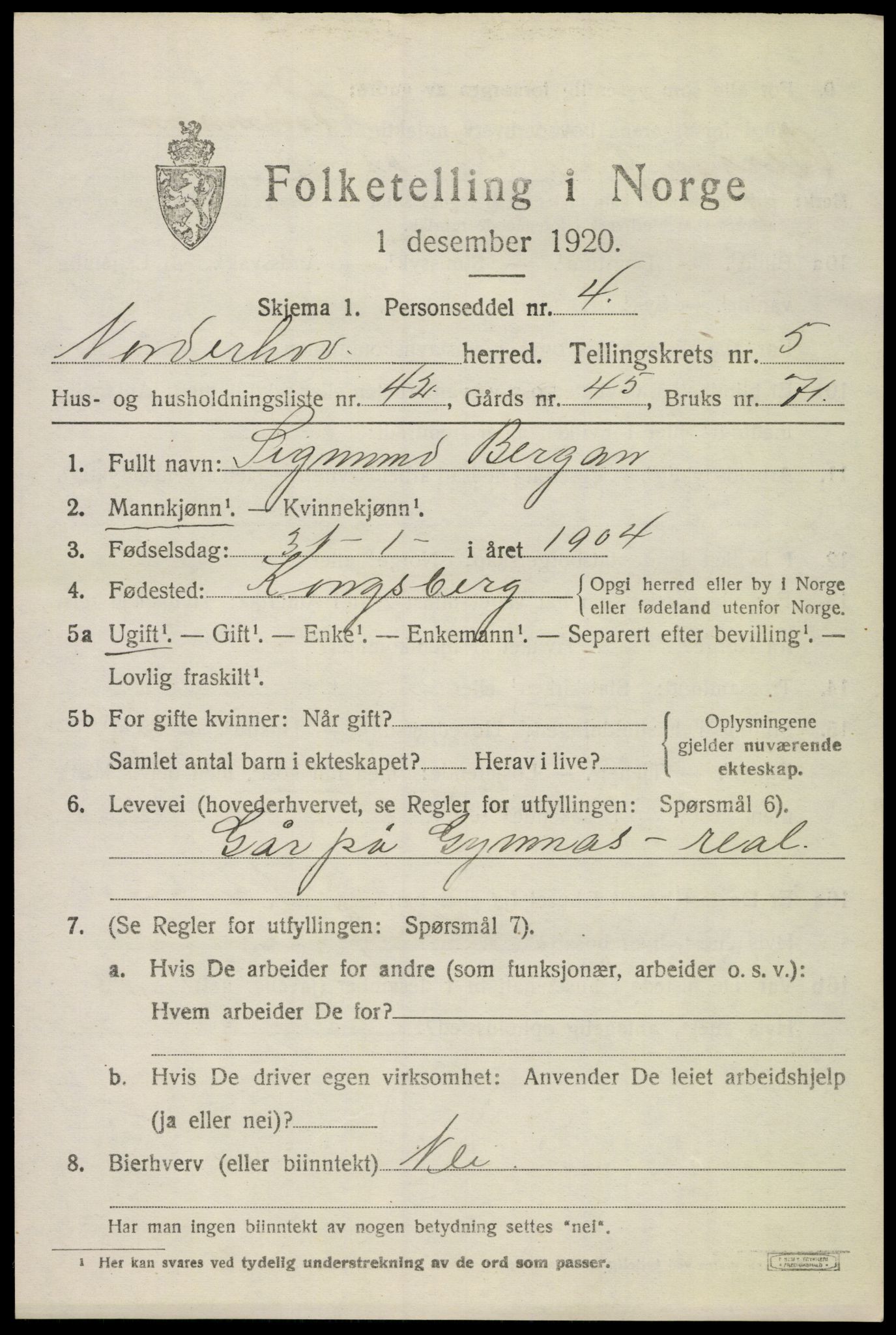 SAKO, 1920 census for Norderhov, 1920, p. 8205