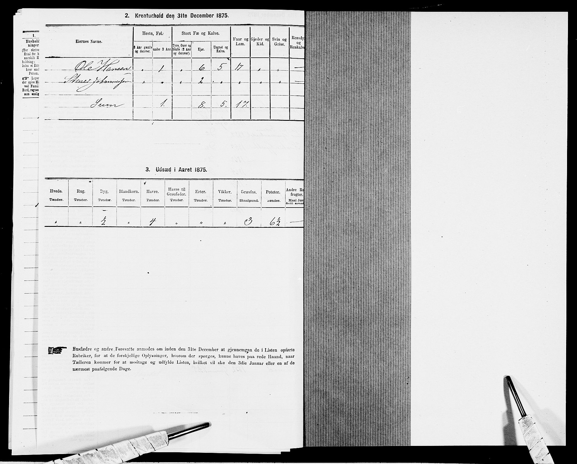 SAK, 1875 census for 1034P Hægebostad, 1875, p. 577