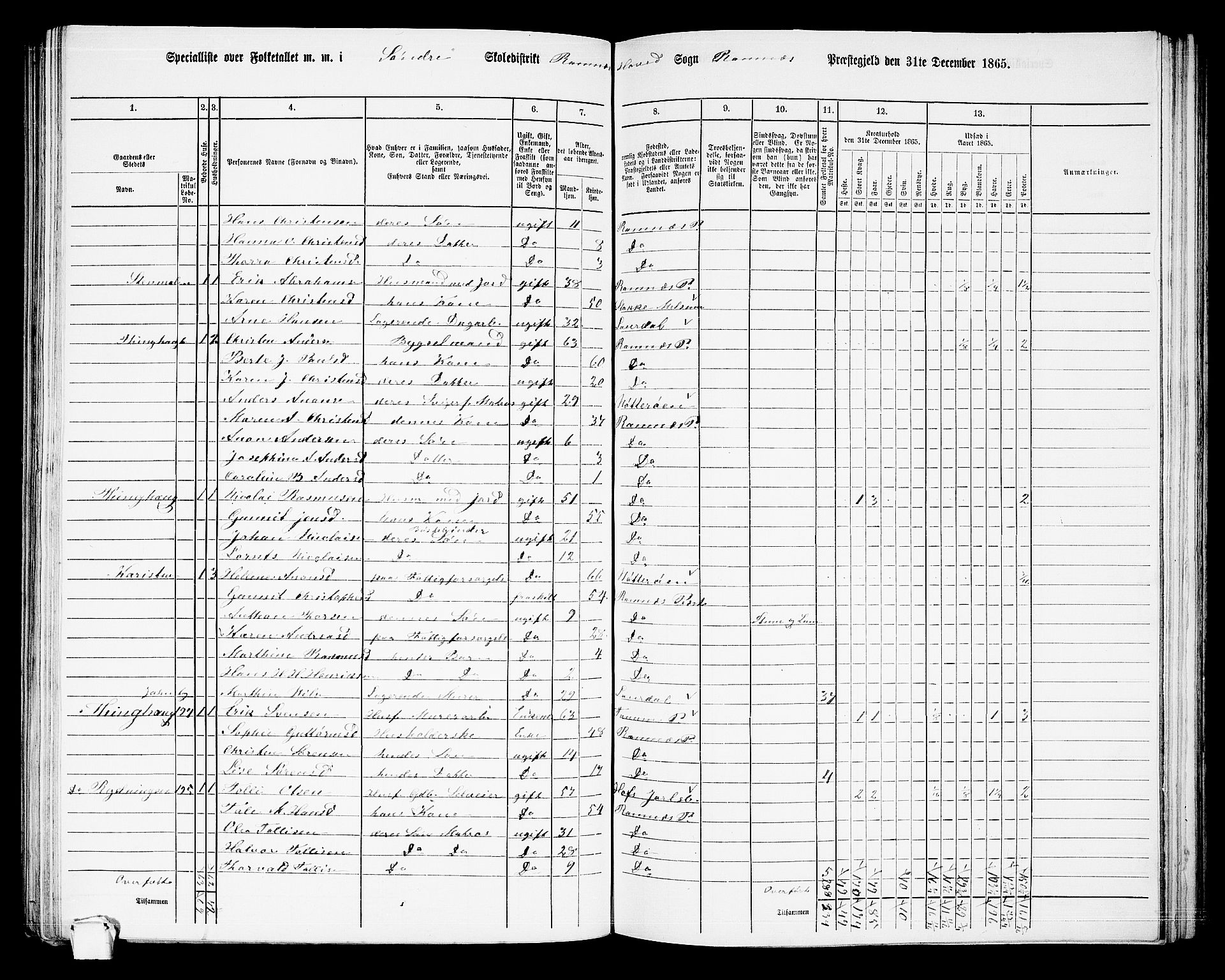 RA, 1865 census for Ramnes, 1865, p. 37