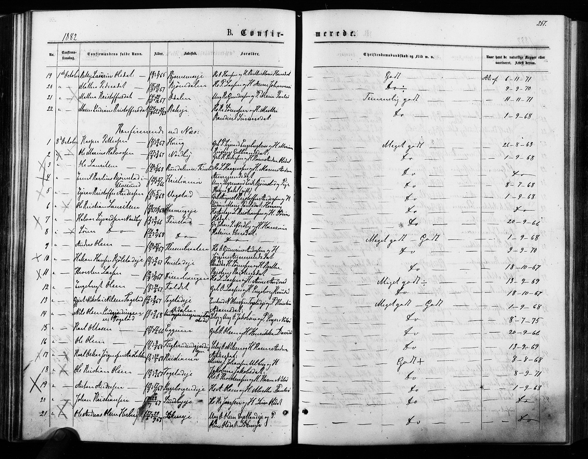 Nes prestekontor Kirkebøker, AV/SAO-A-10410/F/Fa/L0009: Parish register (official) no. I 9, 1875-1882, p. 257