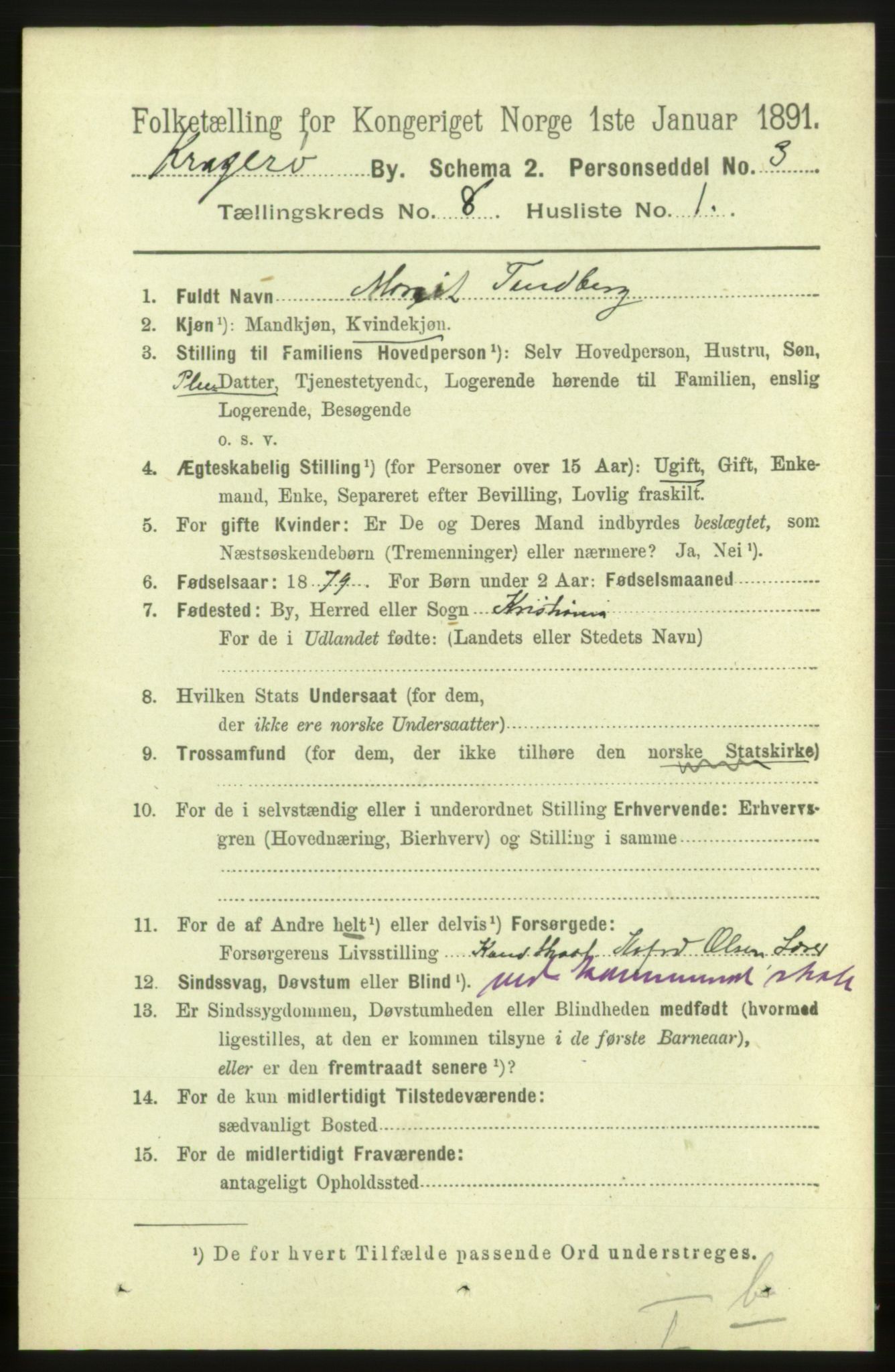 RA, 1891 census for 0801 Kragerø, 1891, p. 3565