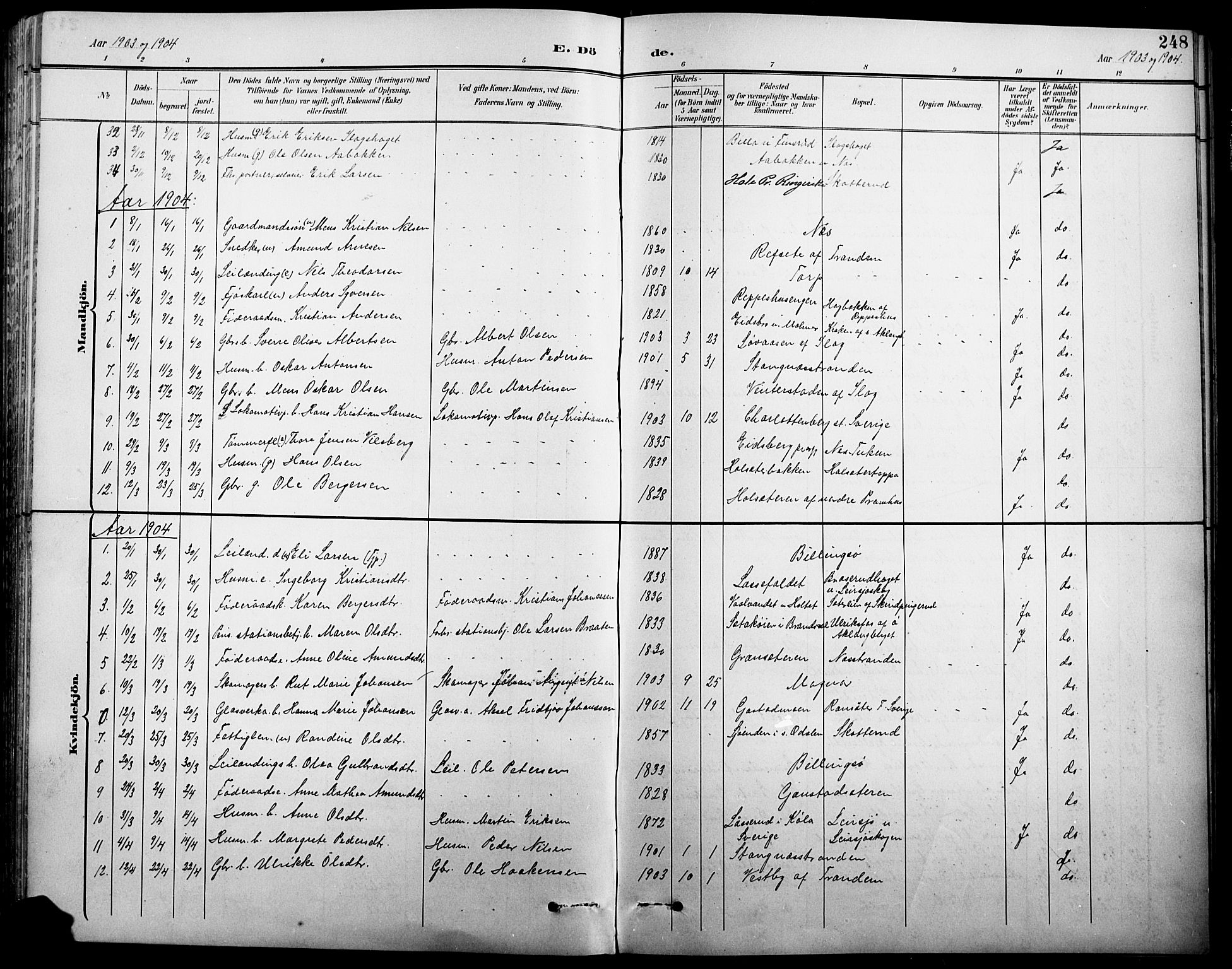 Eidskog prestekontor, AV/SAH-PREST-026/H/Ha/Hab/L0001: Parish register (copy) no. 1, 1895-1917, p. 248